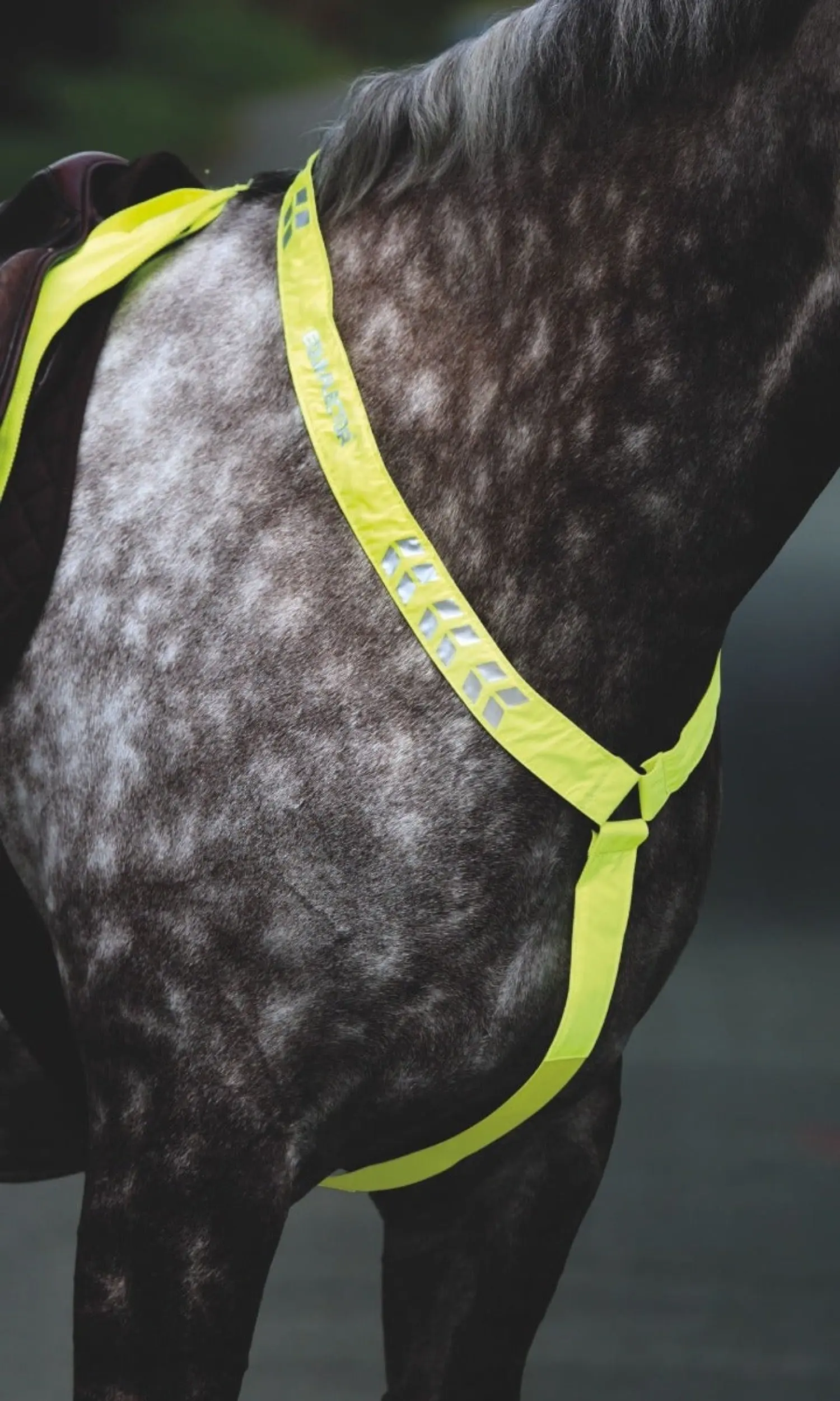 Shires Equi-Flector Breastplate - Image 3