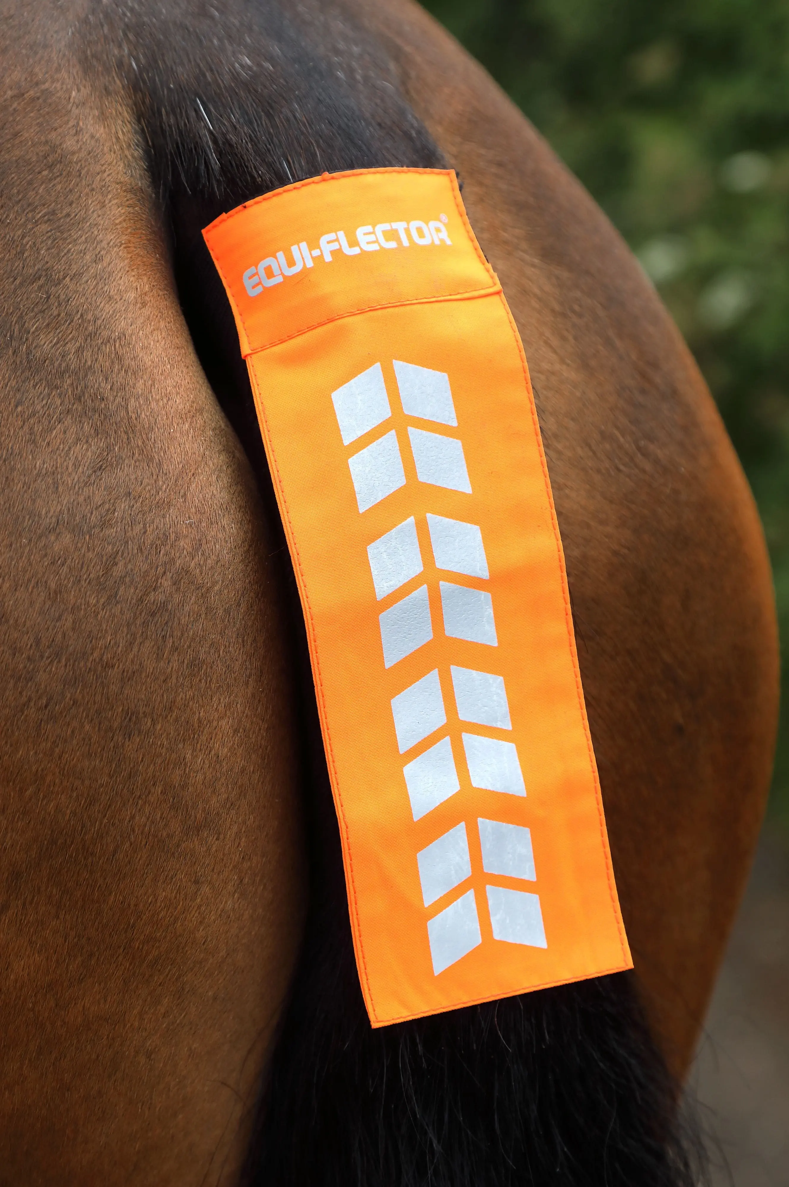 Shires Equi-Flector Reflective Tail Strap - Image 4