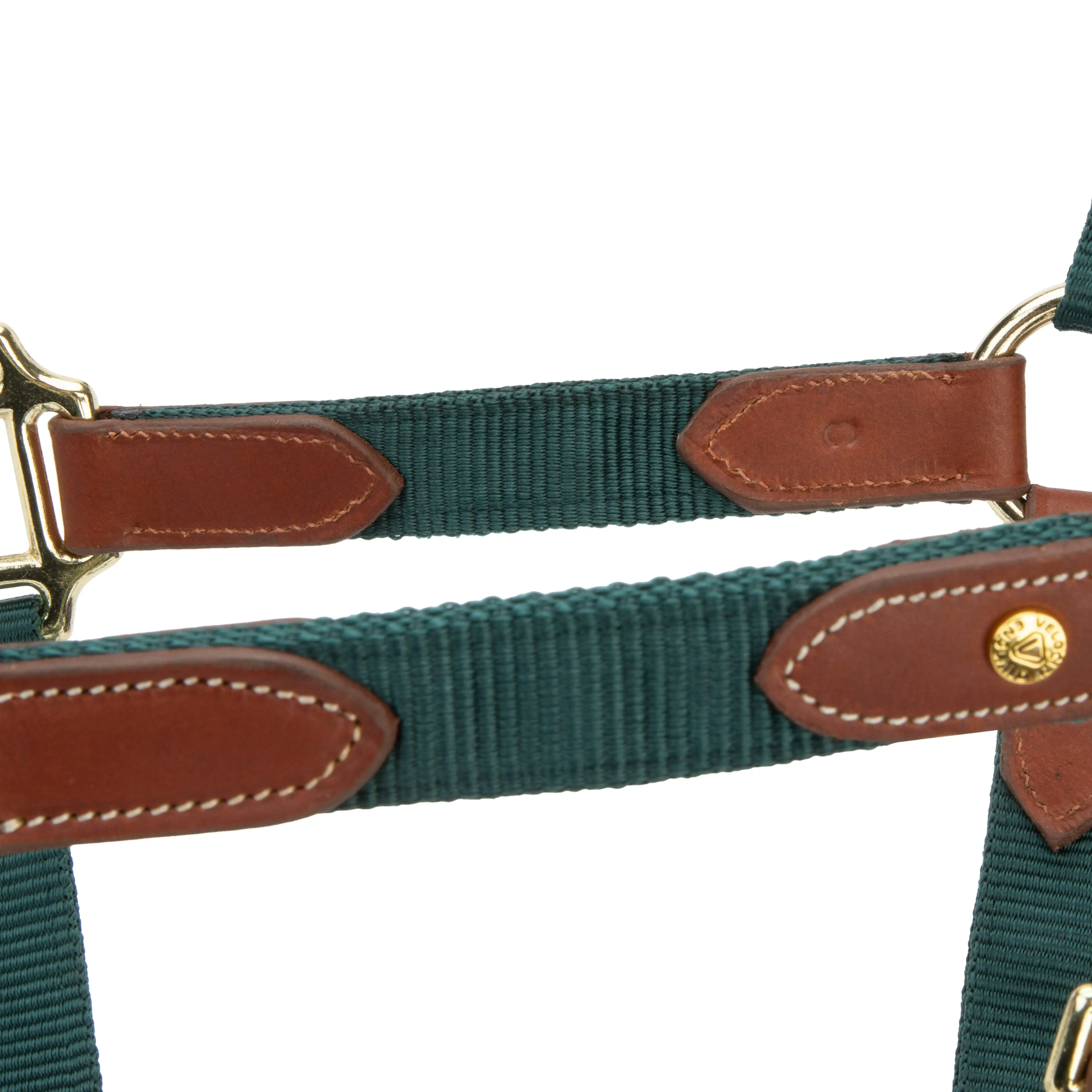 Shires Green ARMA Porto Headcollar - Image 6