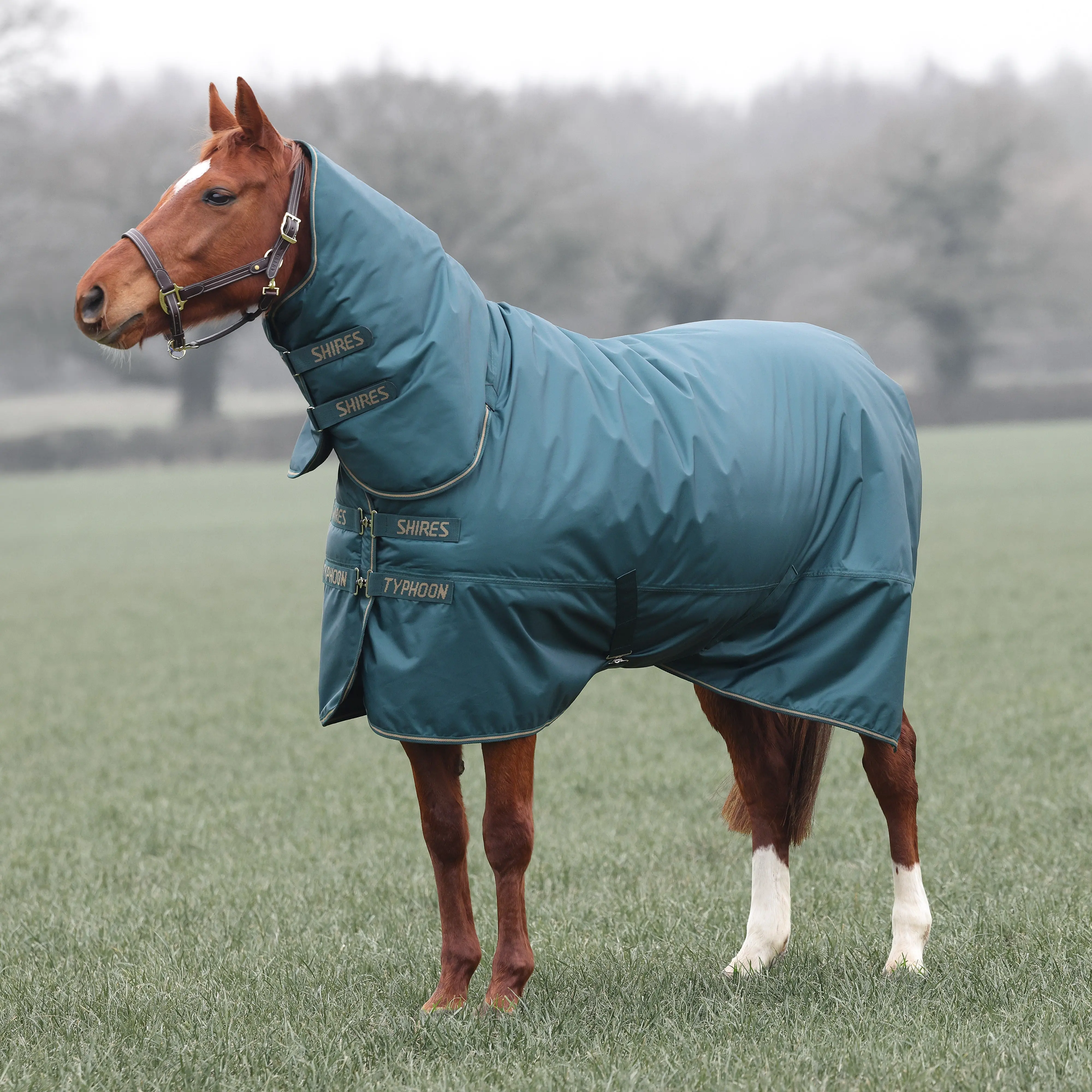 Shires Green Typhoon 200g Combo Turnout Rug