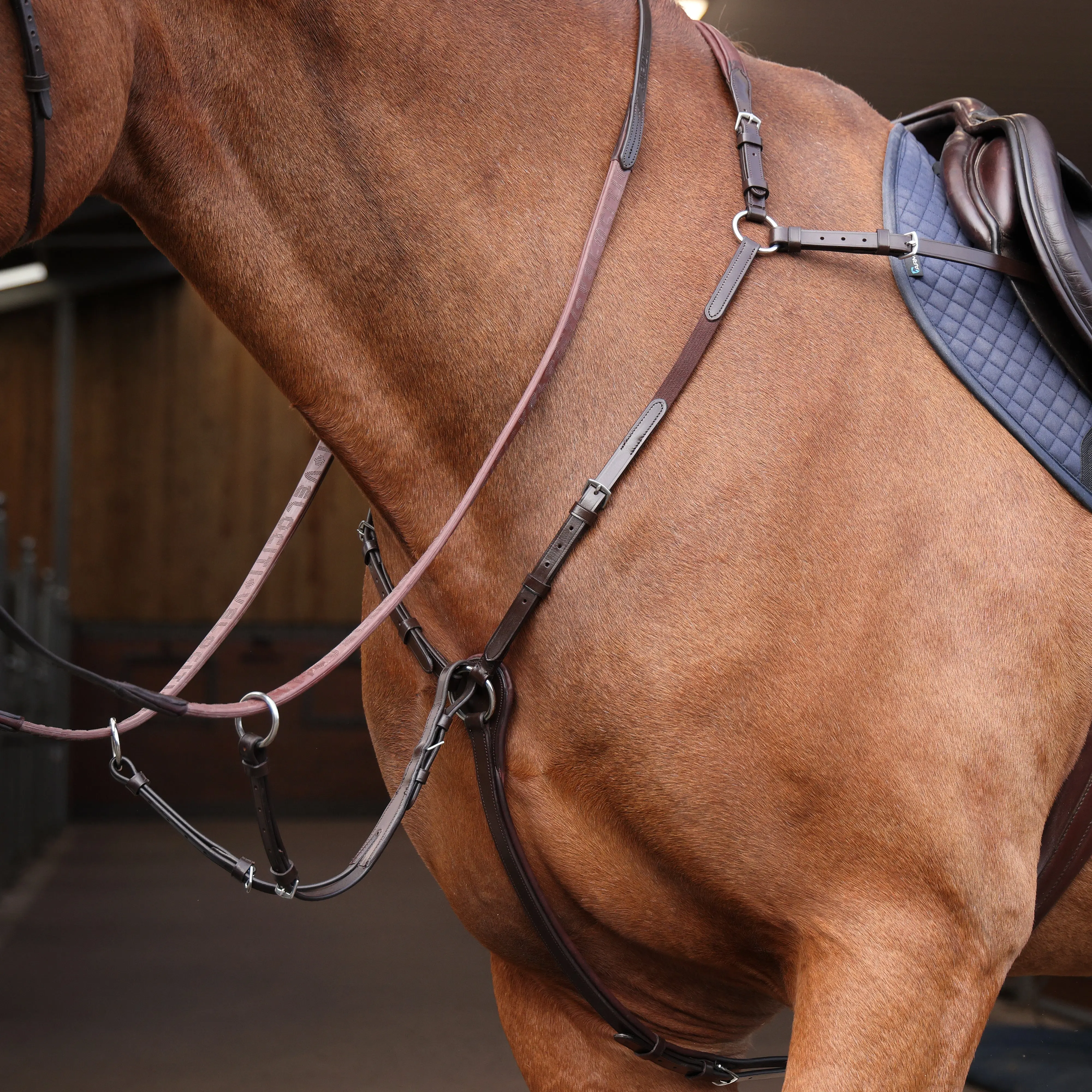 Shires Havana Velociti Rapida Elastic Breastplate