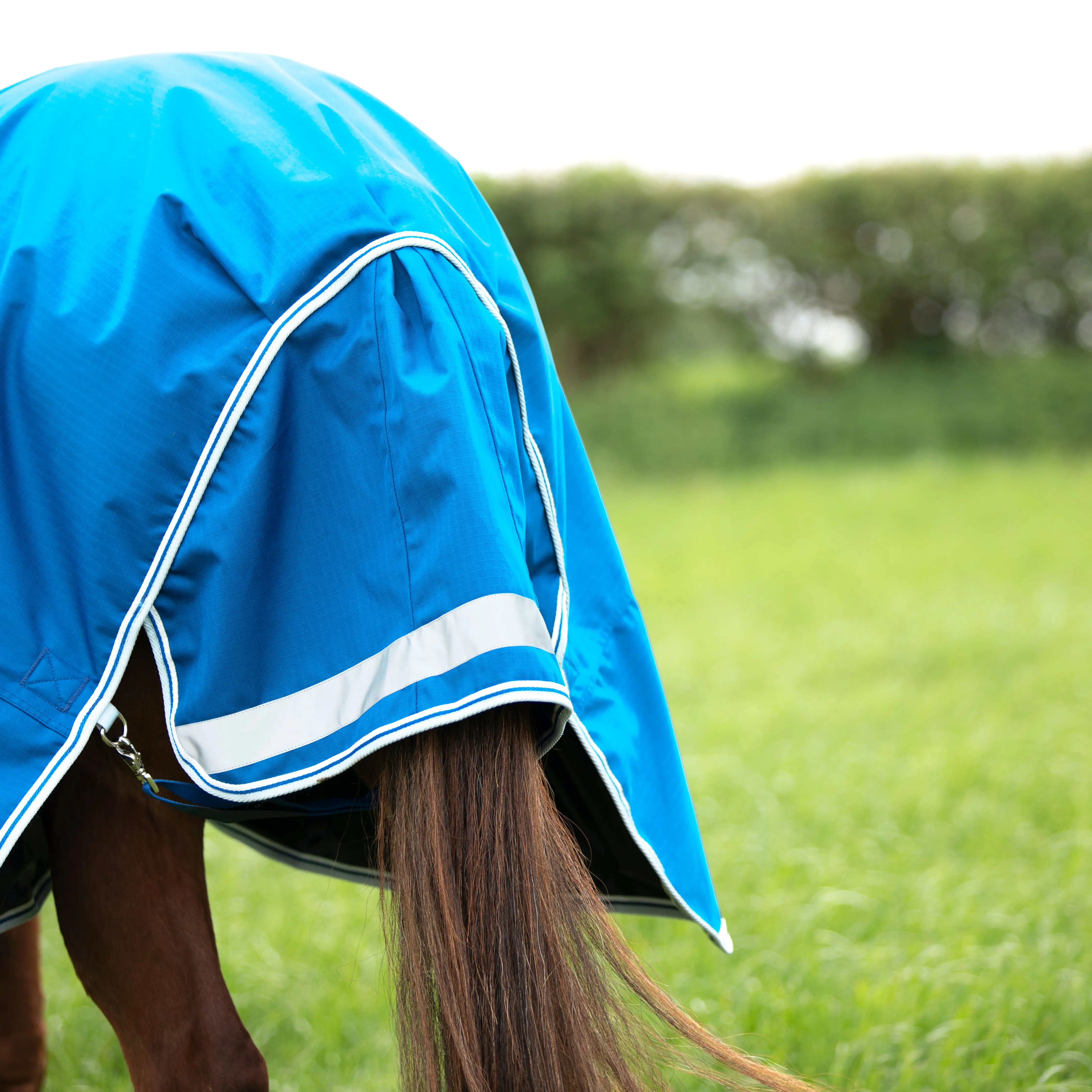 Shires Highlander Original Blue 200g Combo Turnout Rug - Image 3