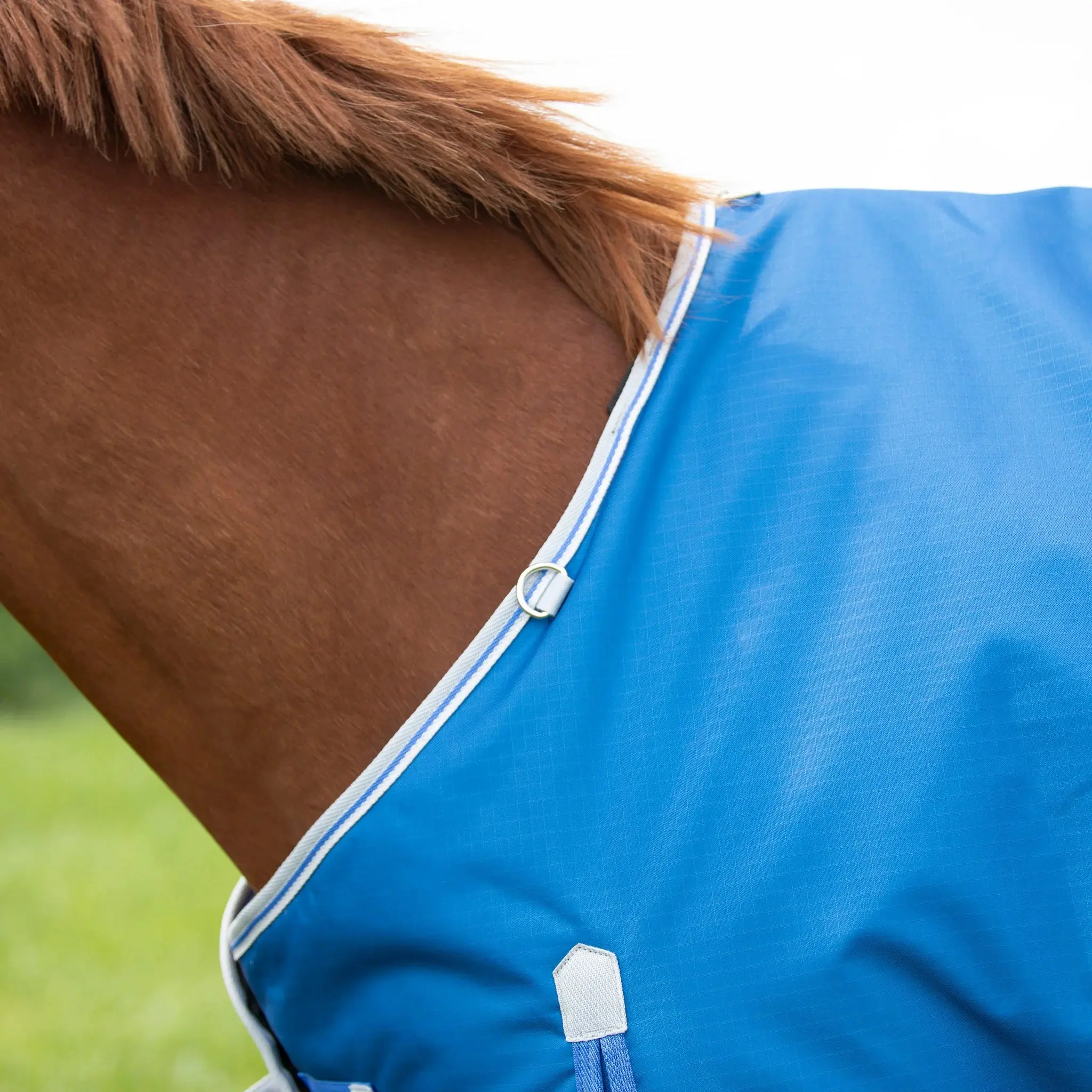 Shires Highlander Original Blue 200g Turnout Rug - Image 3