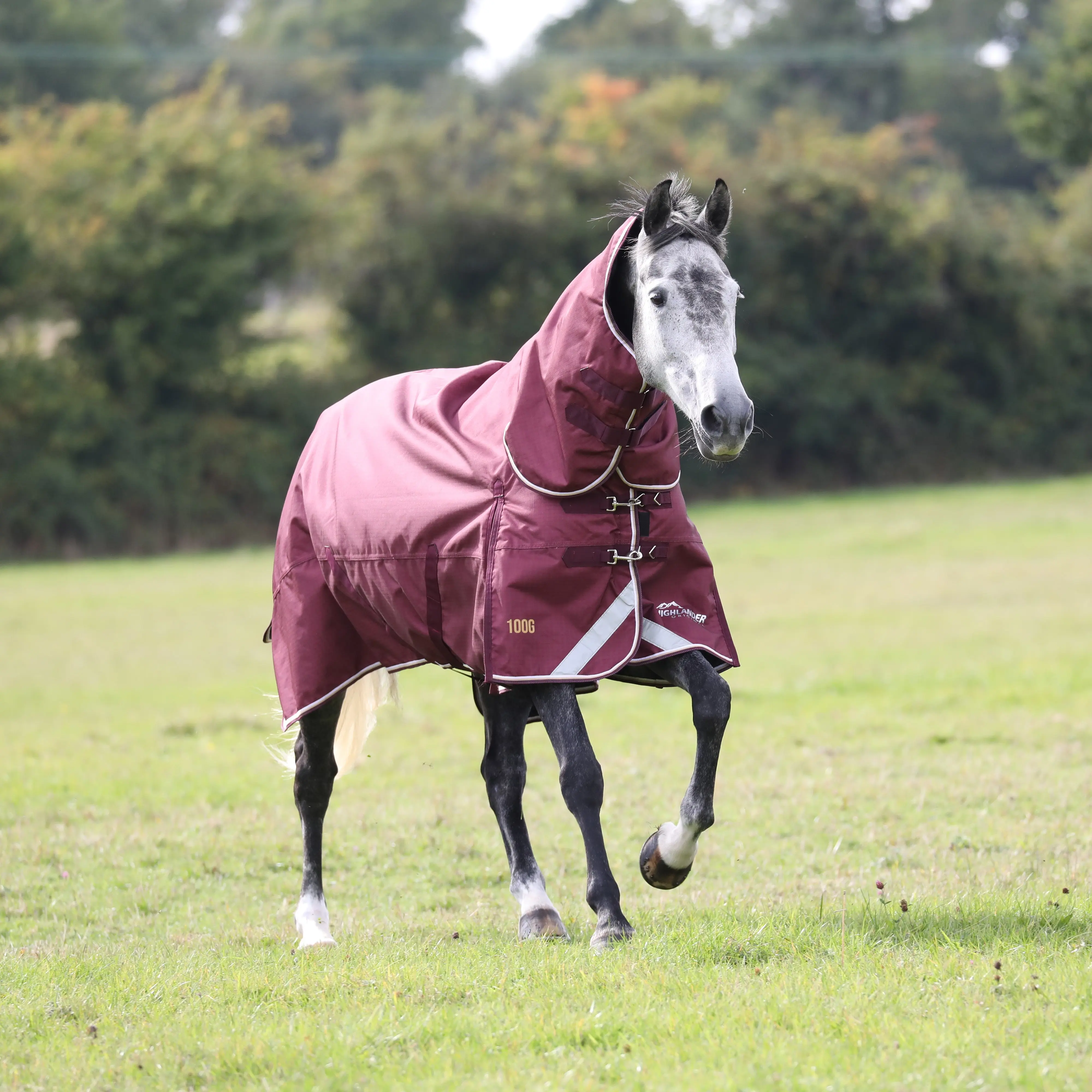Shires Highlander Plus 100 Combo Turnout Rug - Image 12