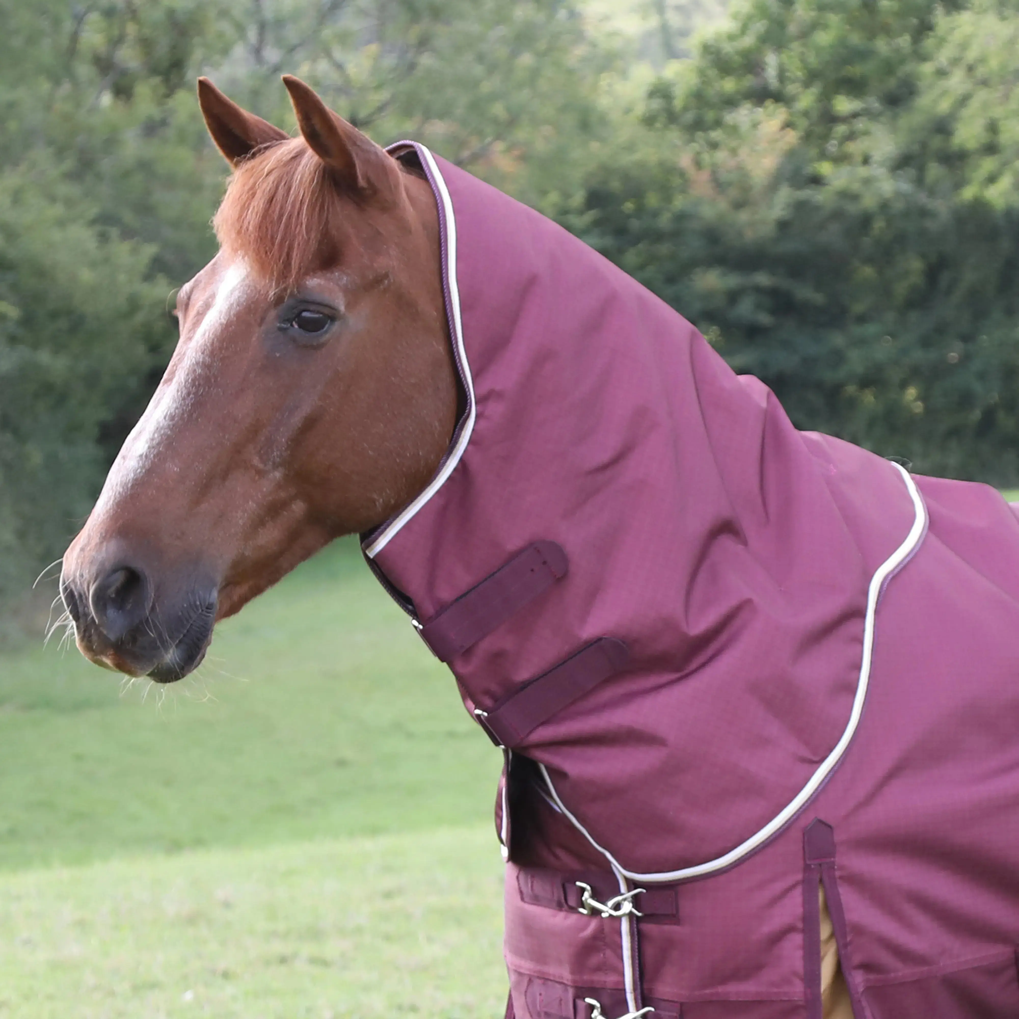 Shires Highlander Plus 100 Turnout Rug Neck Cover - Image 5