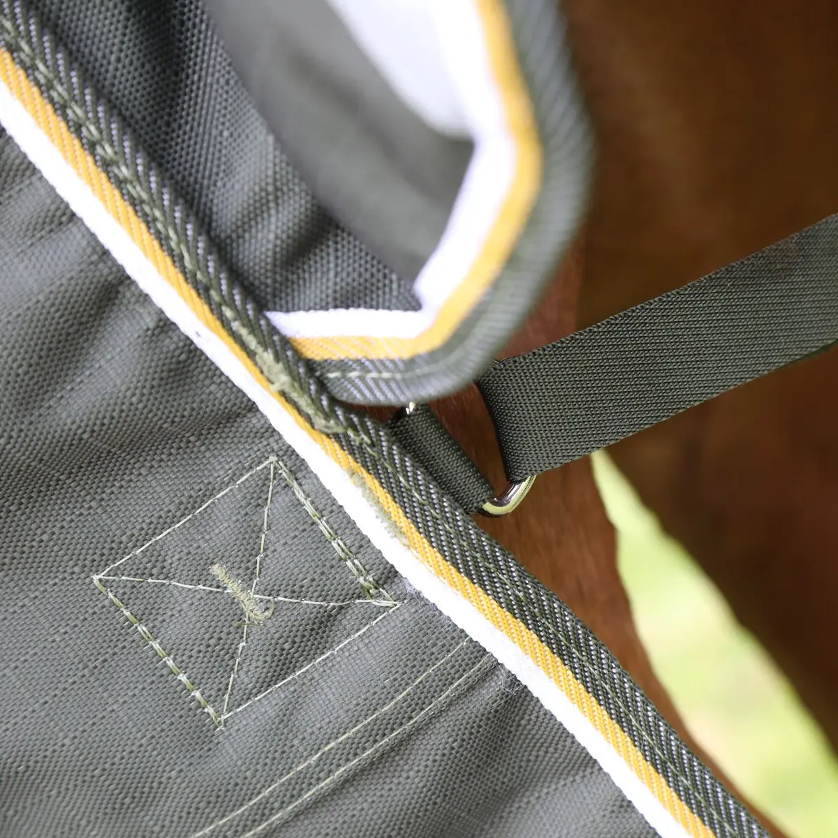 Shires Highlander Plus 50g Turnout Rug - Image 7