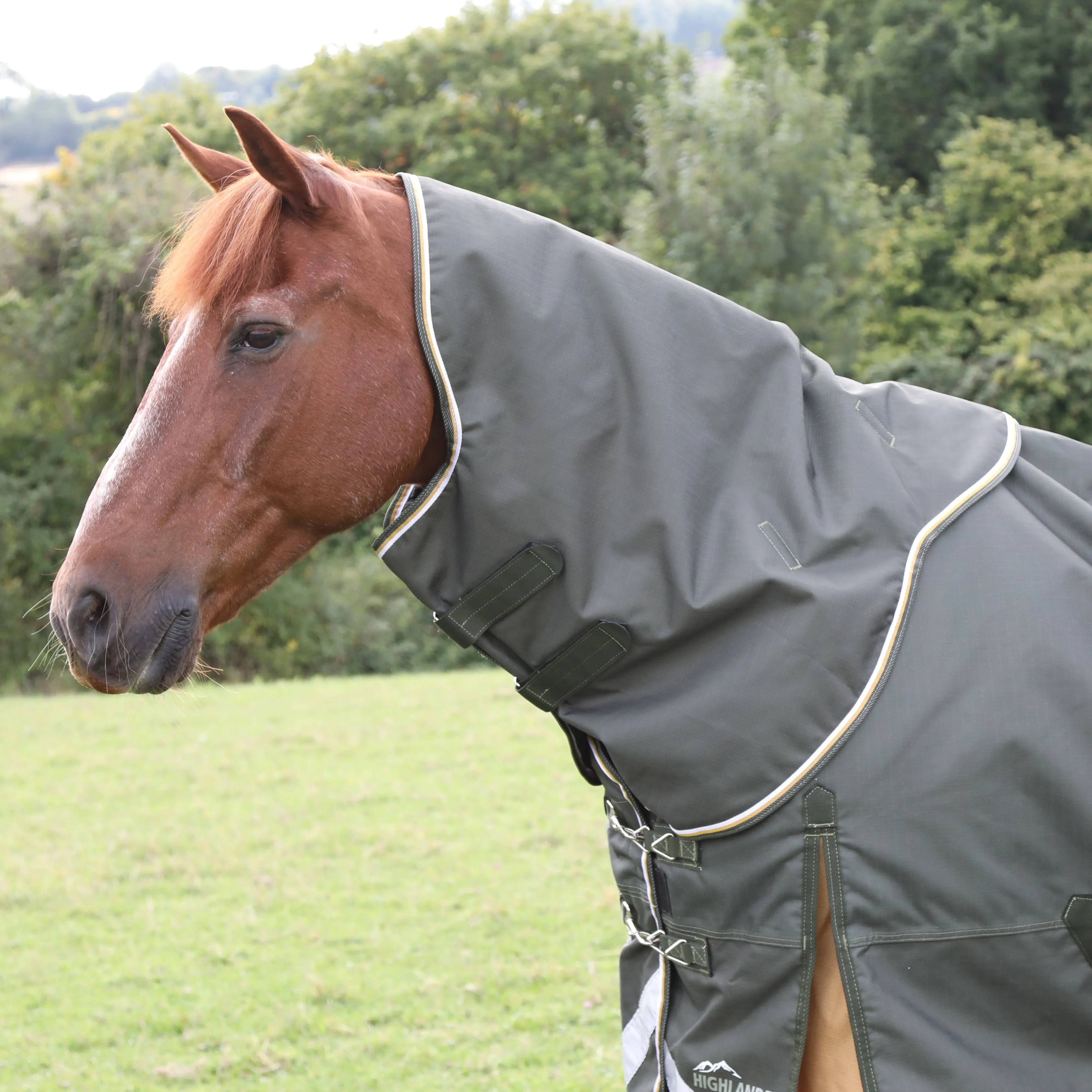 Shires Highlander Plus 50 Turnout Rug Neck Cover - Image 6