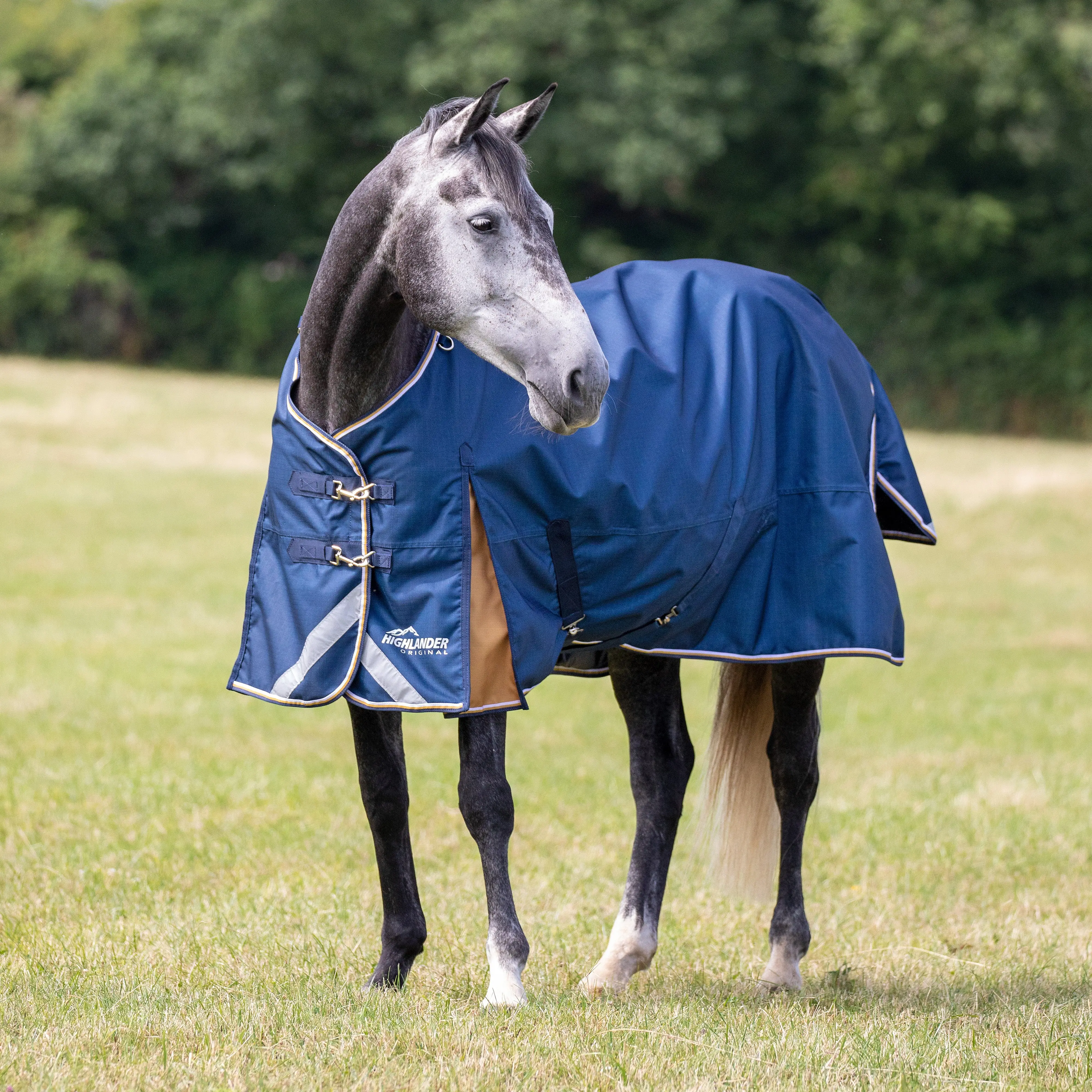 Shires Highlander Plus Lite Turnout Rug - Image 14