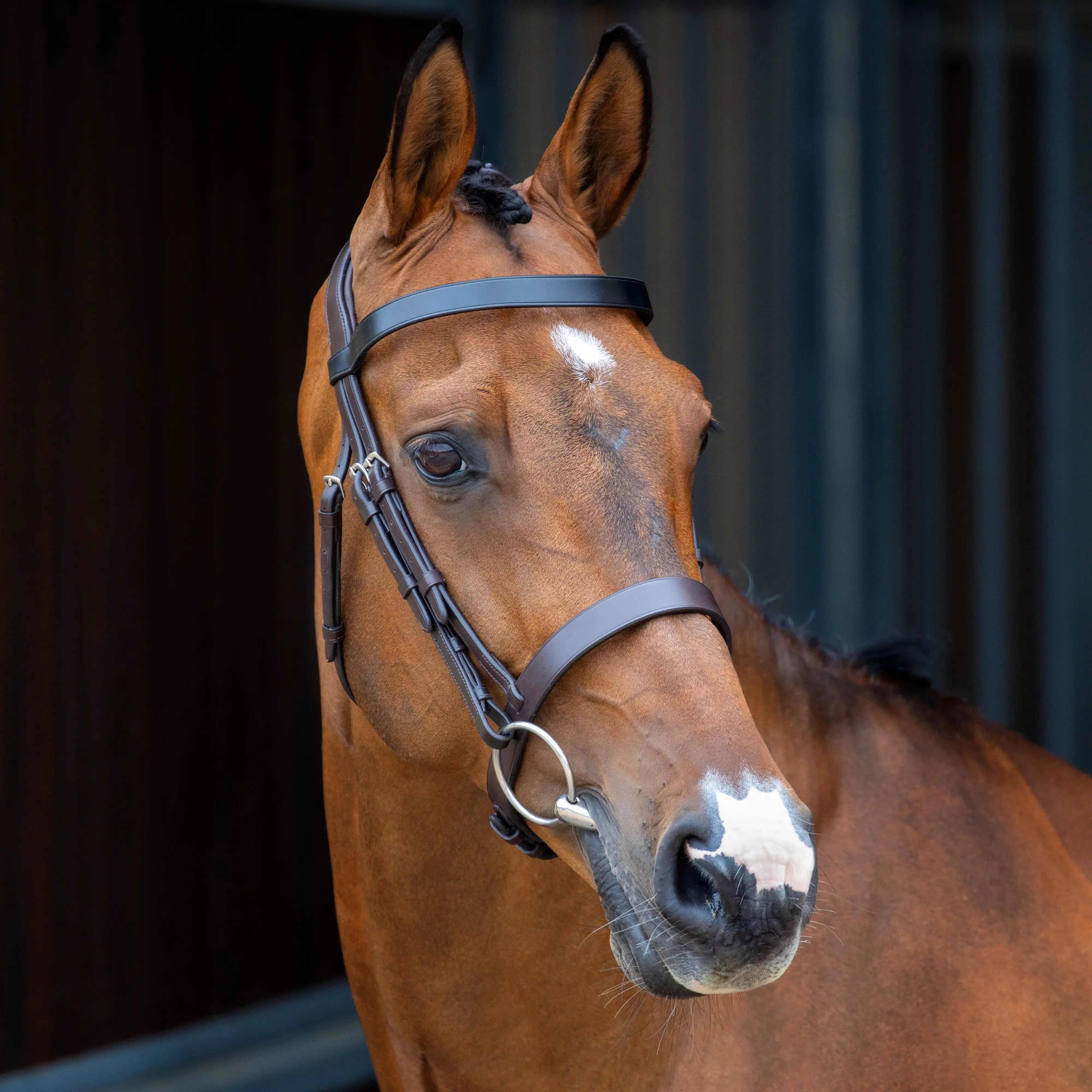 Shires Lusso Hunter Cavesson Bridle - Image 4