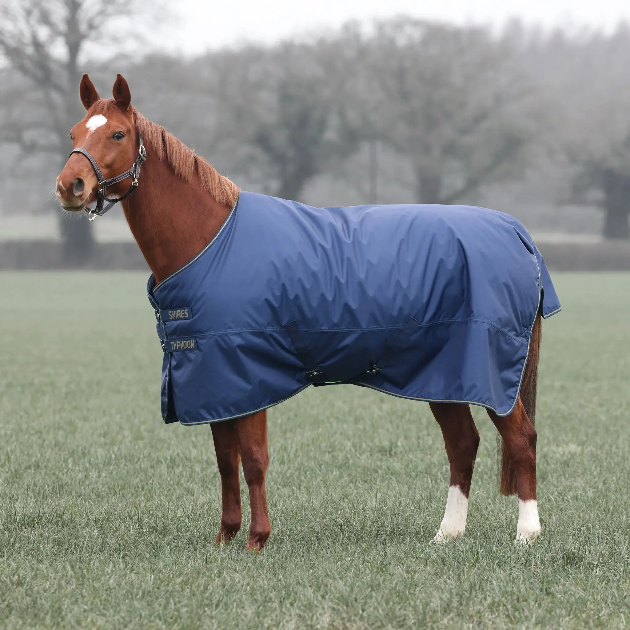 Shires Navy Typhoon Lite Turnout Rug