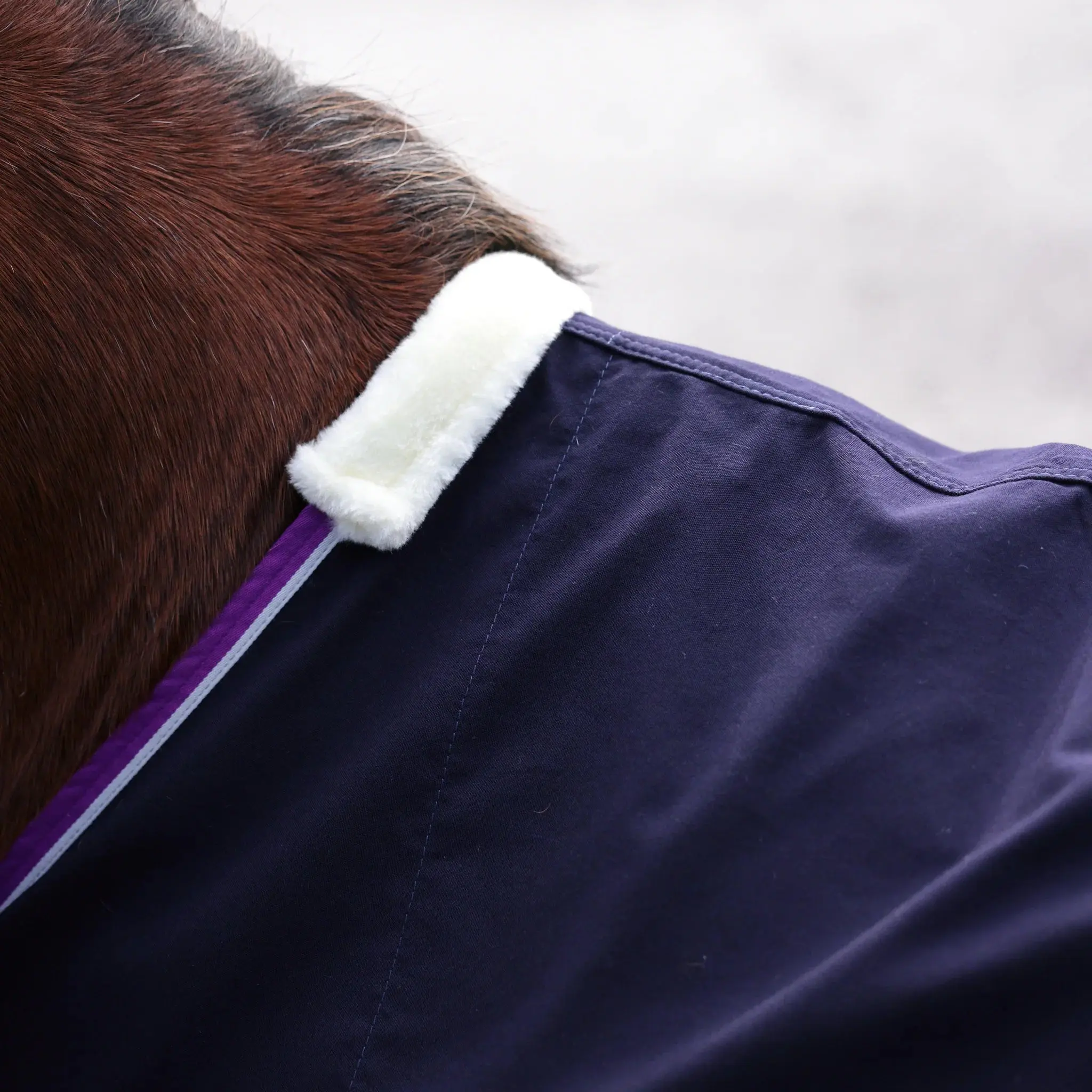 Shires Navy Winnie & Me Stable Sheet - Image 4
