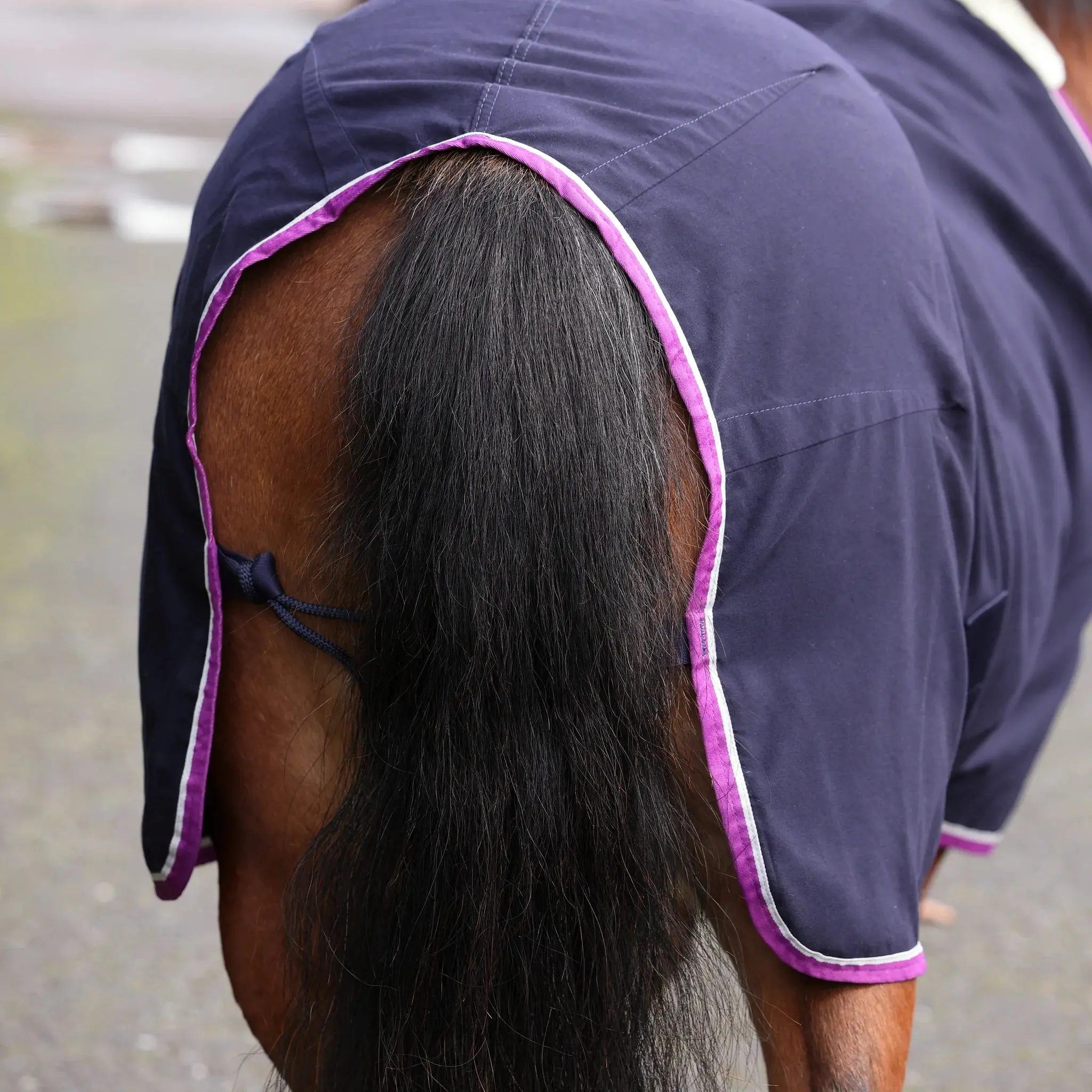Shires Navy Winnie & Me Stable Sheet - Image 5
