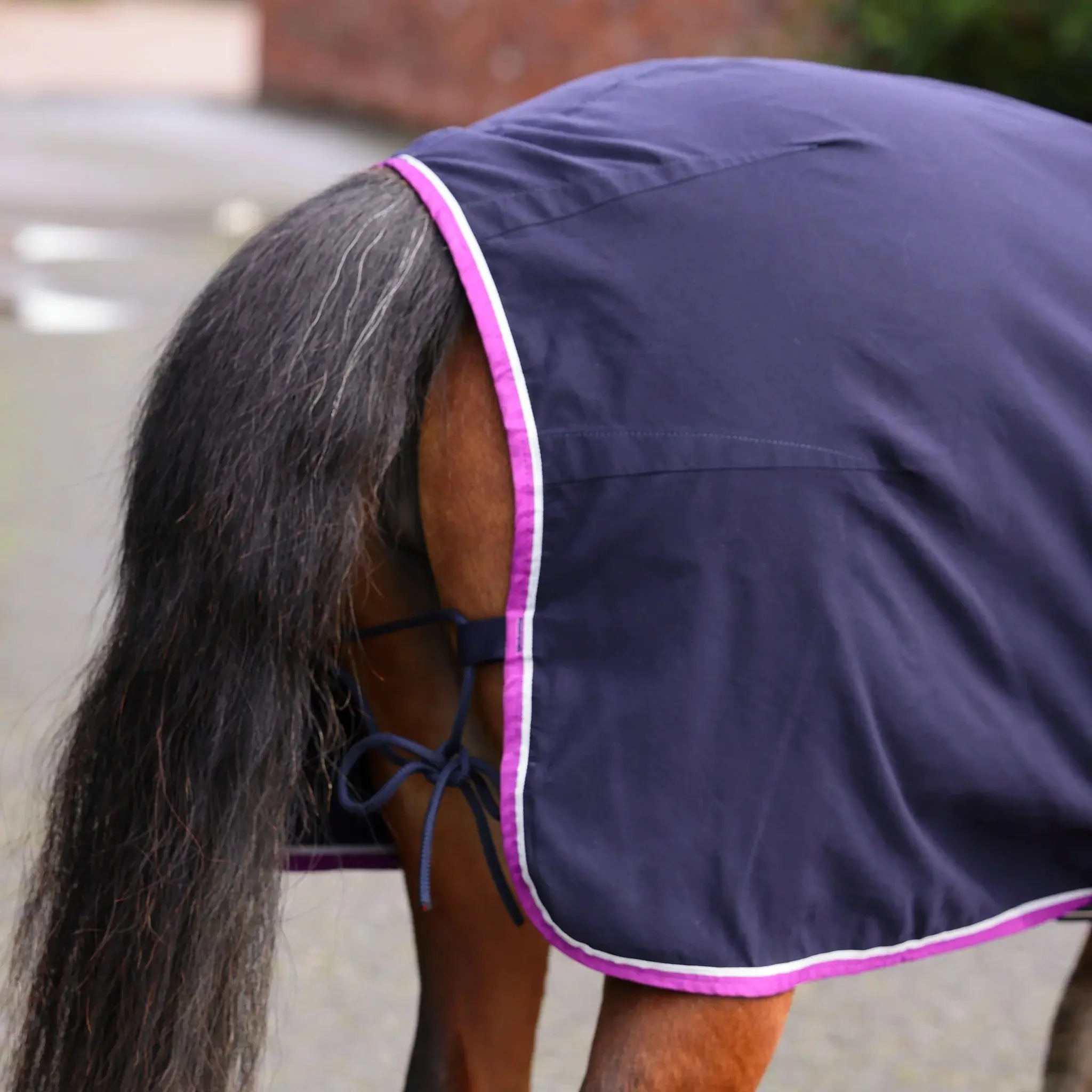Shires Navy Winnie & Me Stable Sheet - Image 6