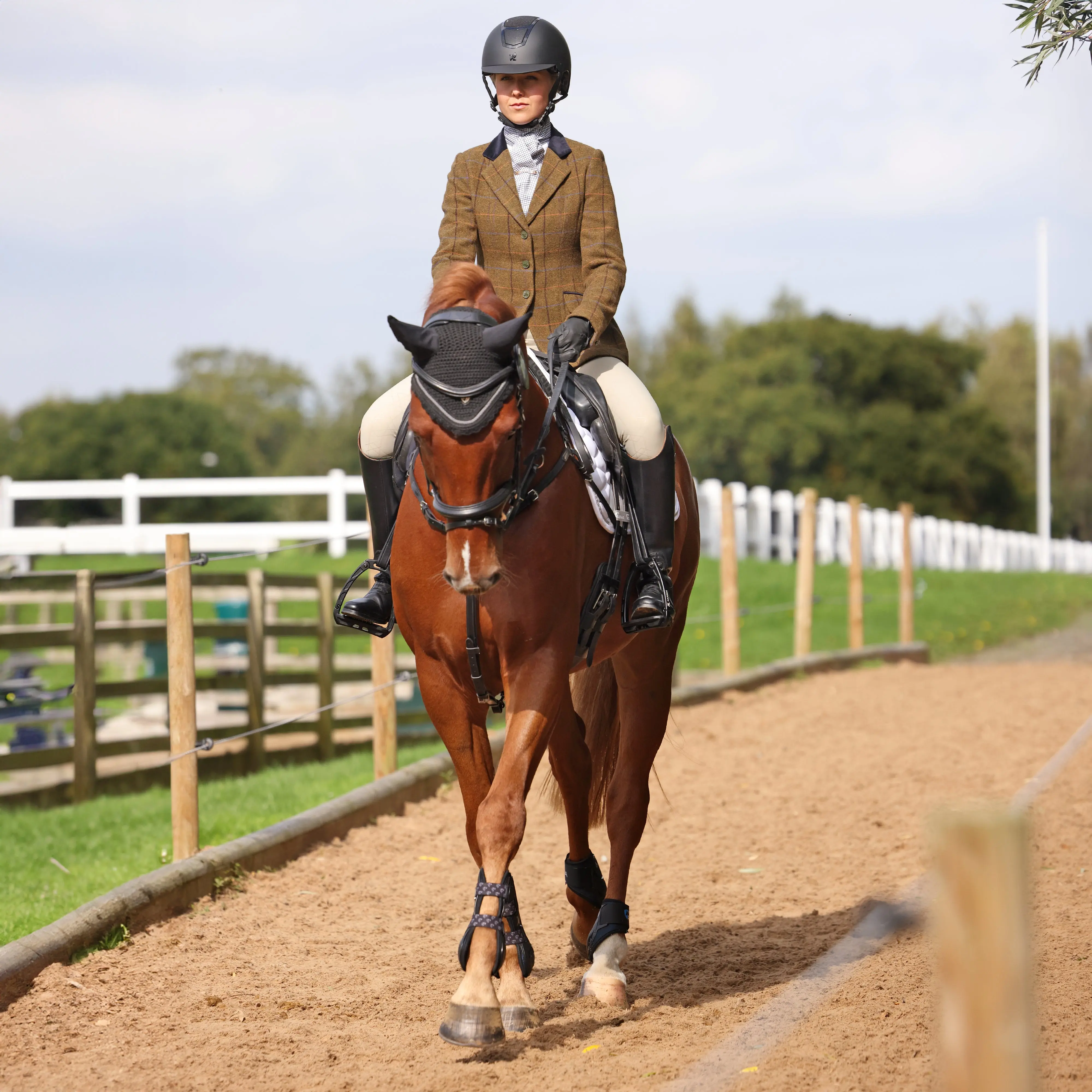 Shires Oak Brown Check Aubrion Saratoga Jacket - Image 5