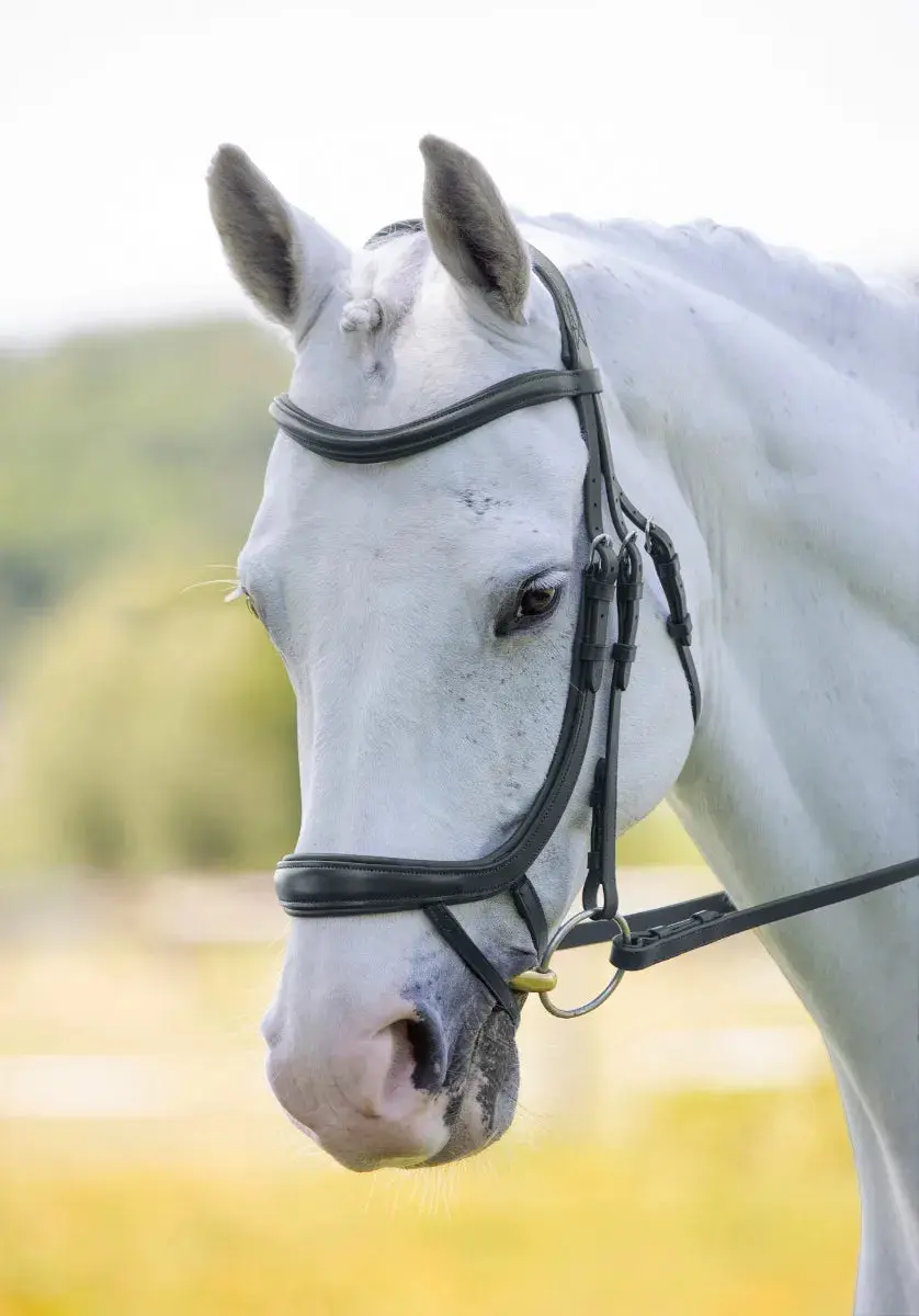 Shires RAPIDA Ergonomic Curved Flash Bridle - Image 9