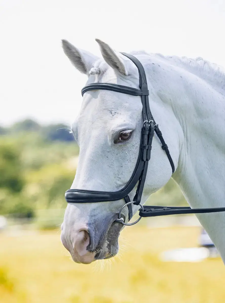 Shires RAPIDA Ergononic Cavesson Bridle - Image 3
