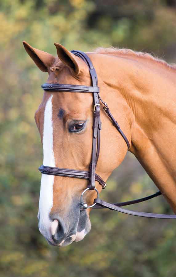 Shires Salisbury Fairford Bridle - Image 8
