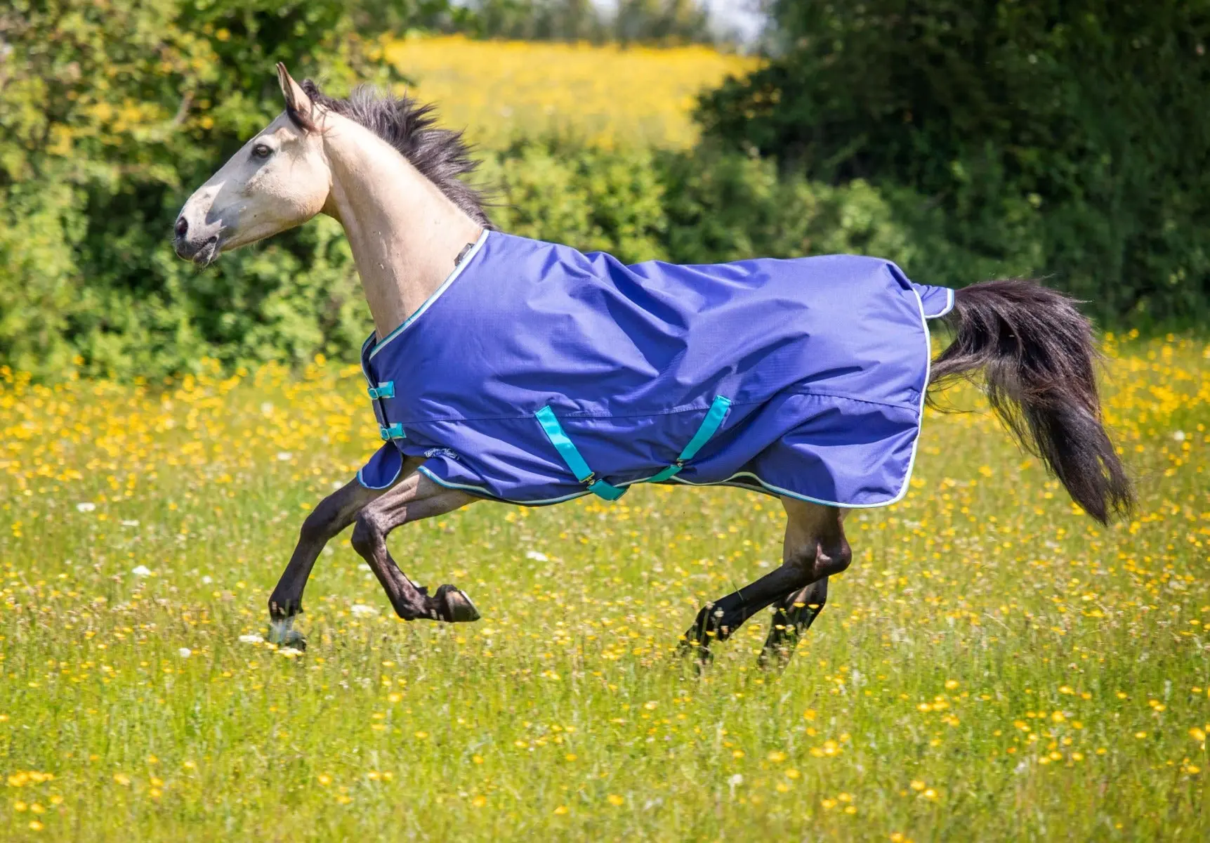 Shires Tempest Original 100g Navy Standard Neck Turnout Rug - Image 12