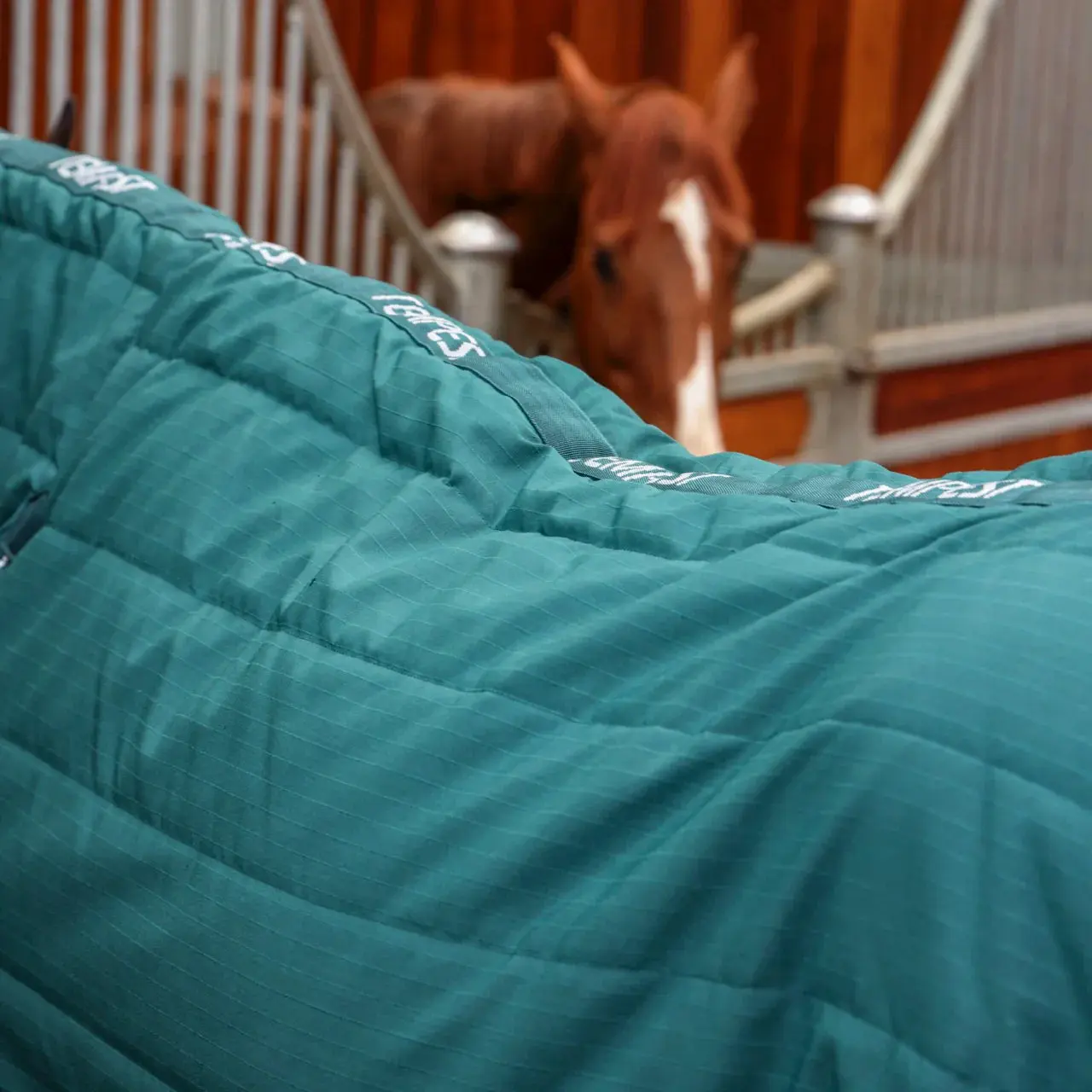 Shires Tempest Original 200g Emerald Combo Stable Rug - Image 3