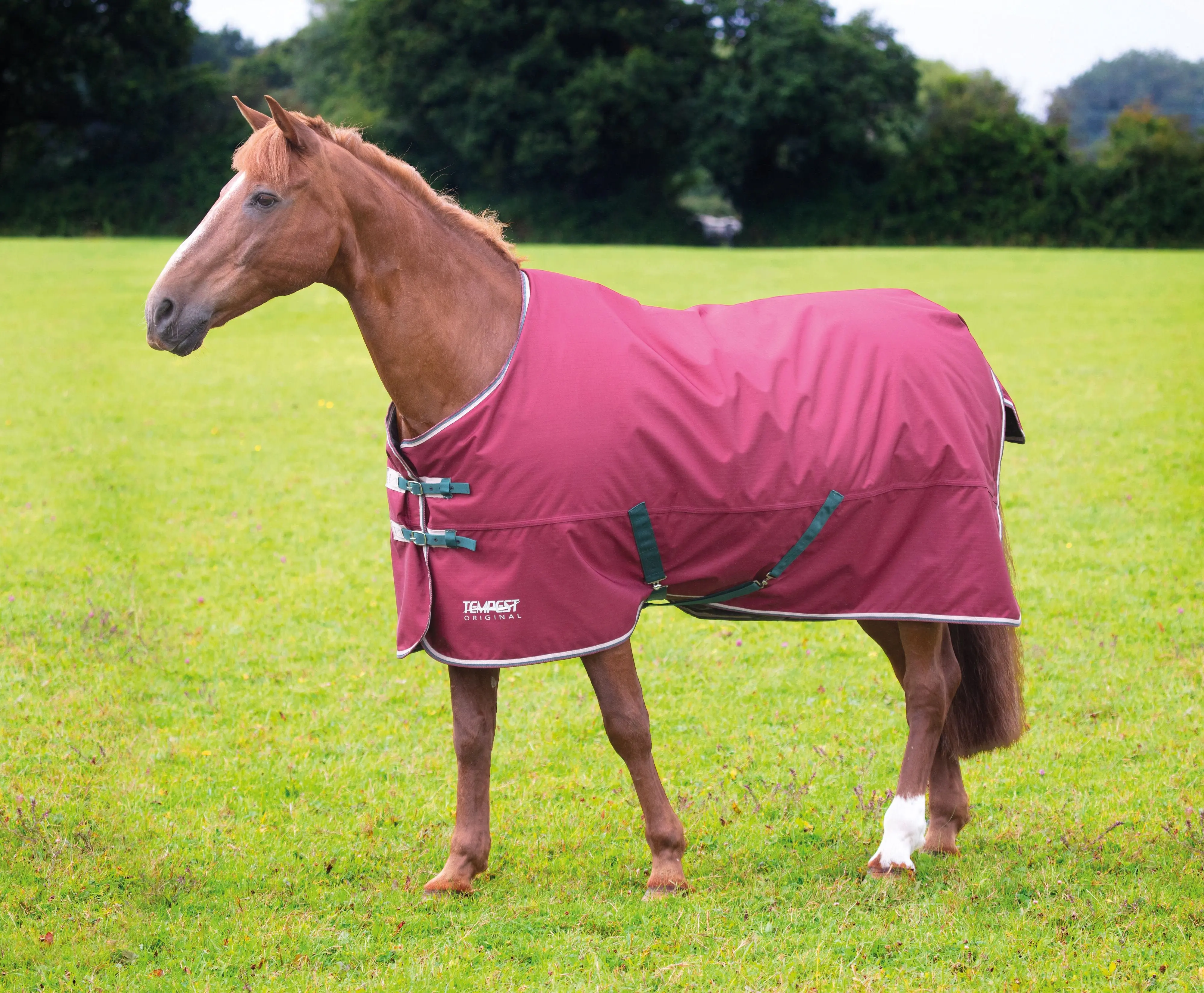 Shires Tempest Original 200g Maroon Turnout Rug - Image 13