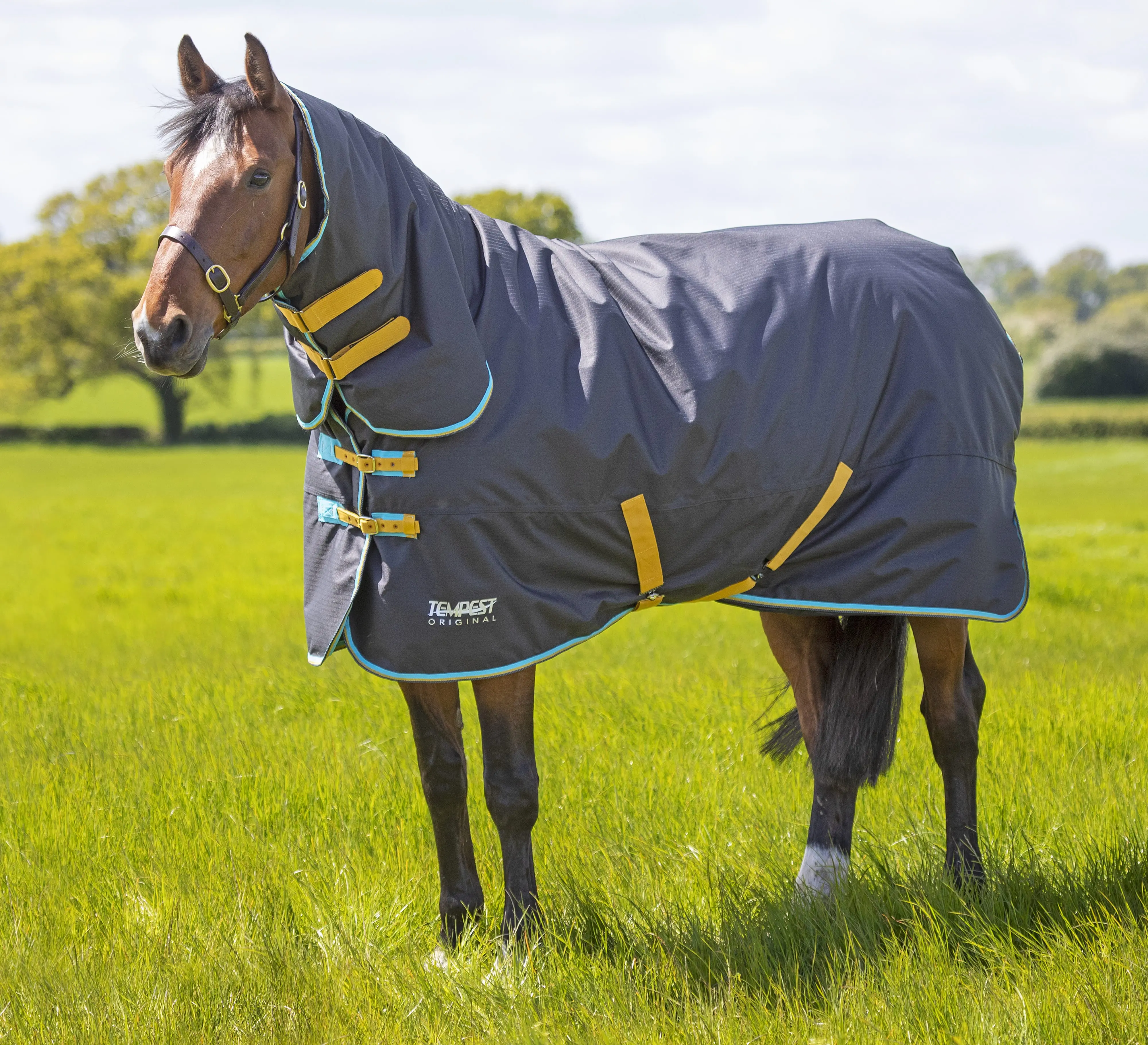 Shires Tempest Original 300g Black Combo Turnout Rug - Image 14