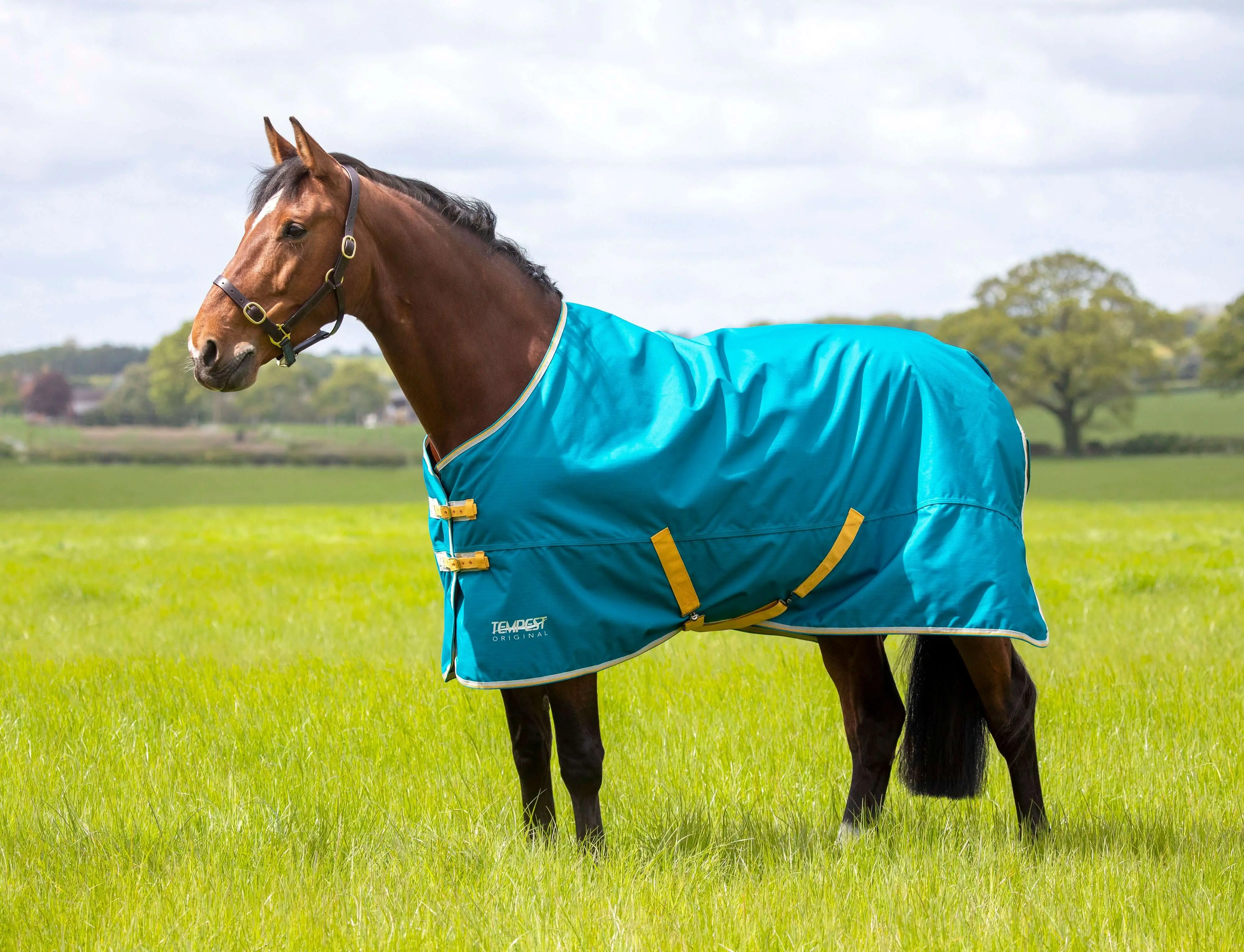 Shires Tempest Original 50g Blue Standard Neck Turnout Rug - Image 6