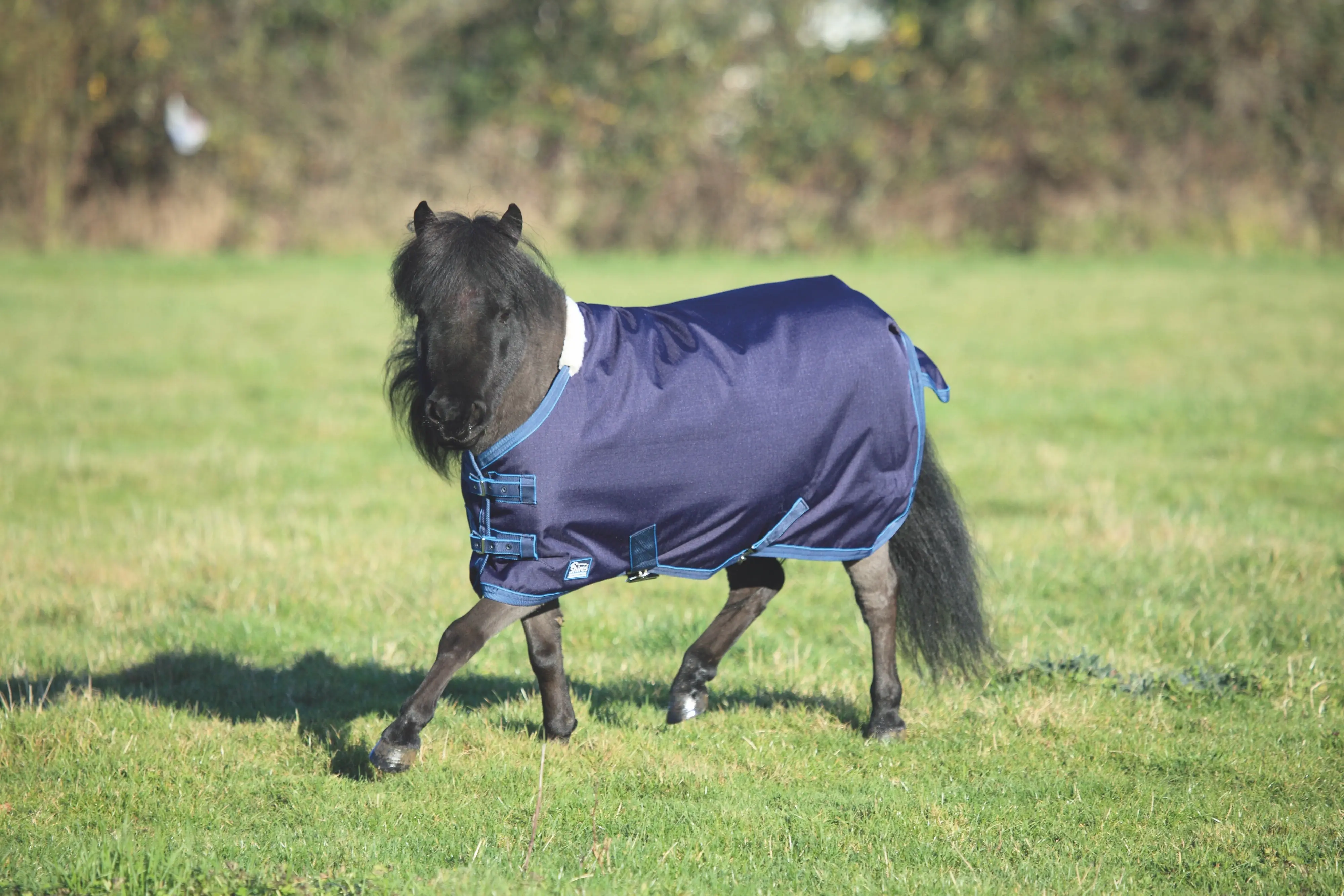 Shires Tempest Original Lite Mini Turnout Rug - Image 2