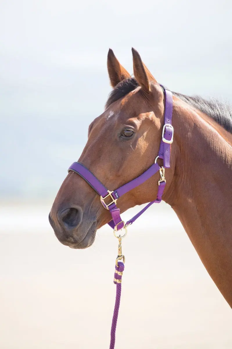 Shires Topaz Nylon Headcollar - Image 3