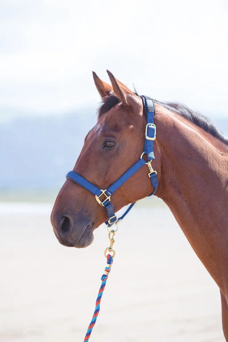 Shires Topaz Nylon Headcollar - Image 9