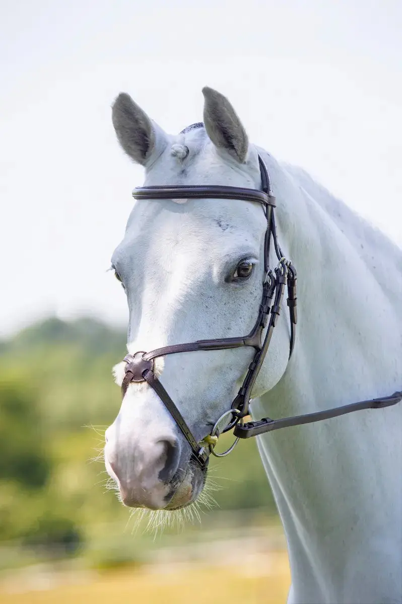 Shires Velociti Comfort Grackle Bridle - Image 10
