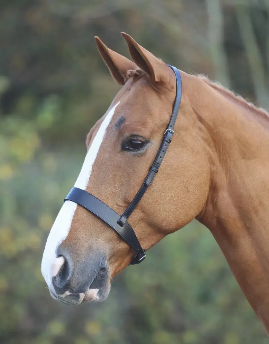 Shires Velociti GARA Hunter Cavesson Noseband - Image 3