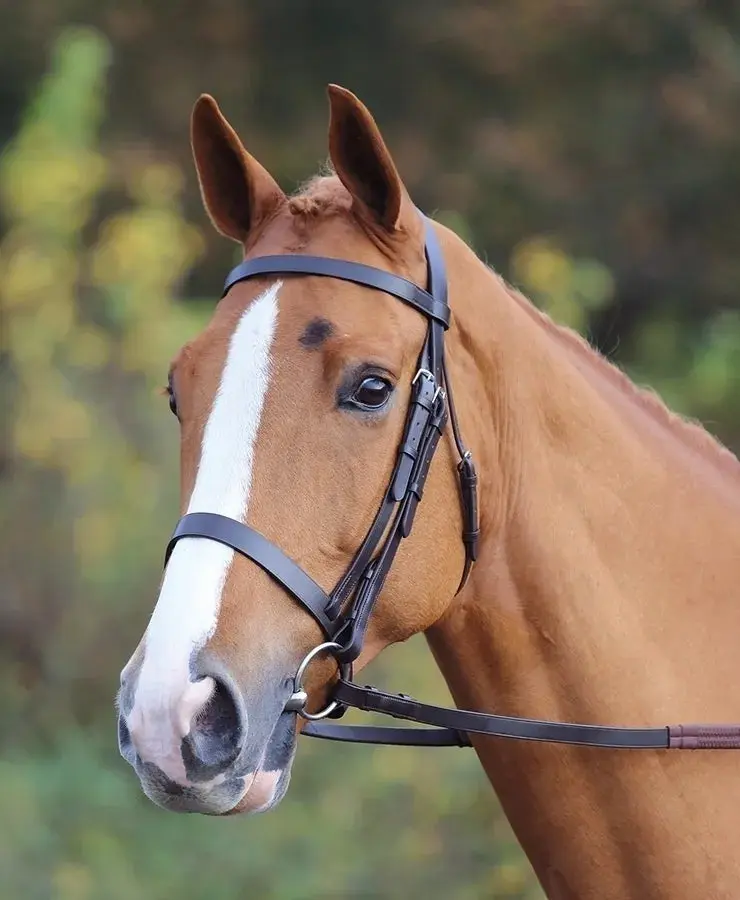 Shires Velociti GARA Plain Bridle - Image 3