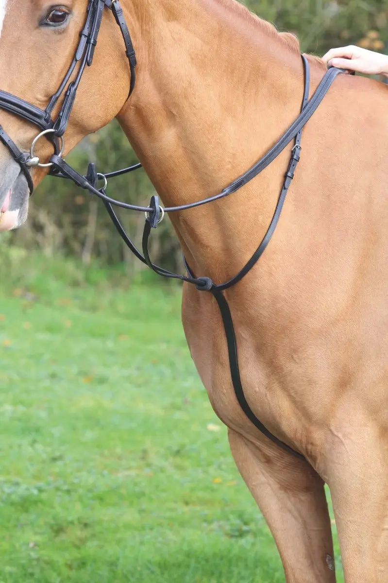 Shires Velociti GARA Running Martingale - Image 11