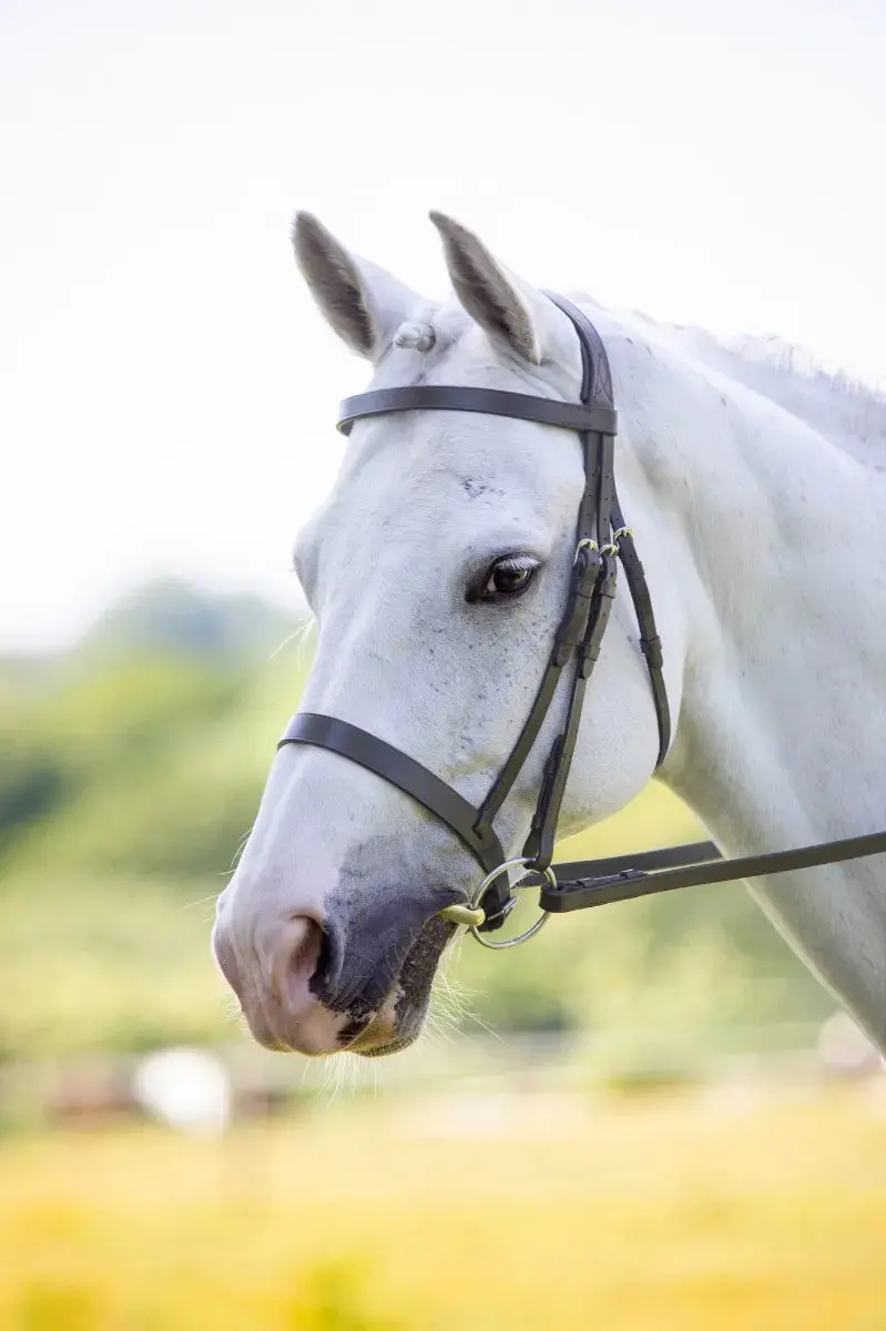 Shires Velociti Hunter Cavesson Bridle - Image 8