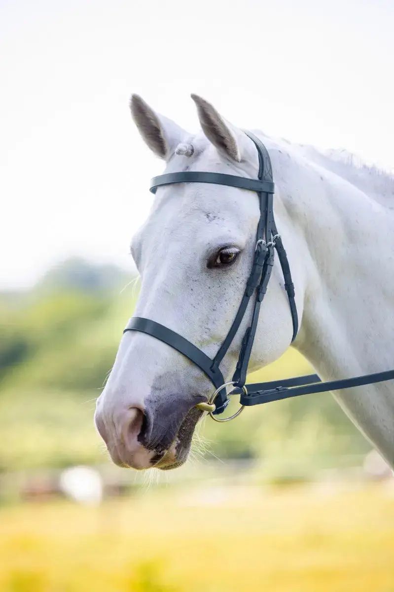 Shires Velociti Hunter Cavesson Bridle - Image 9