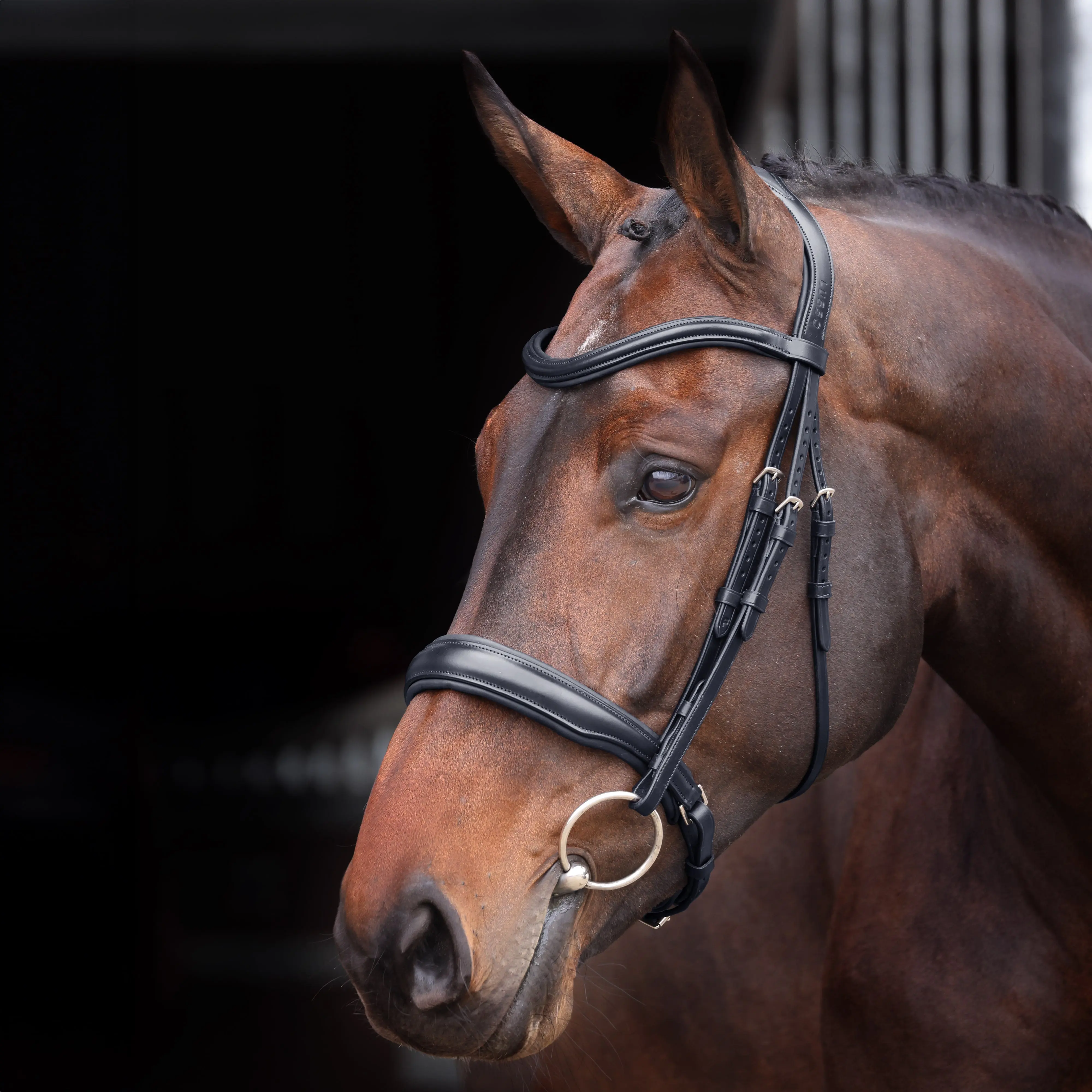 Shires Velociti Lusso Elite Black Padded Cavesson Bridle