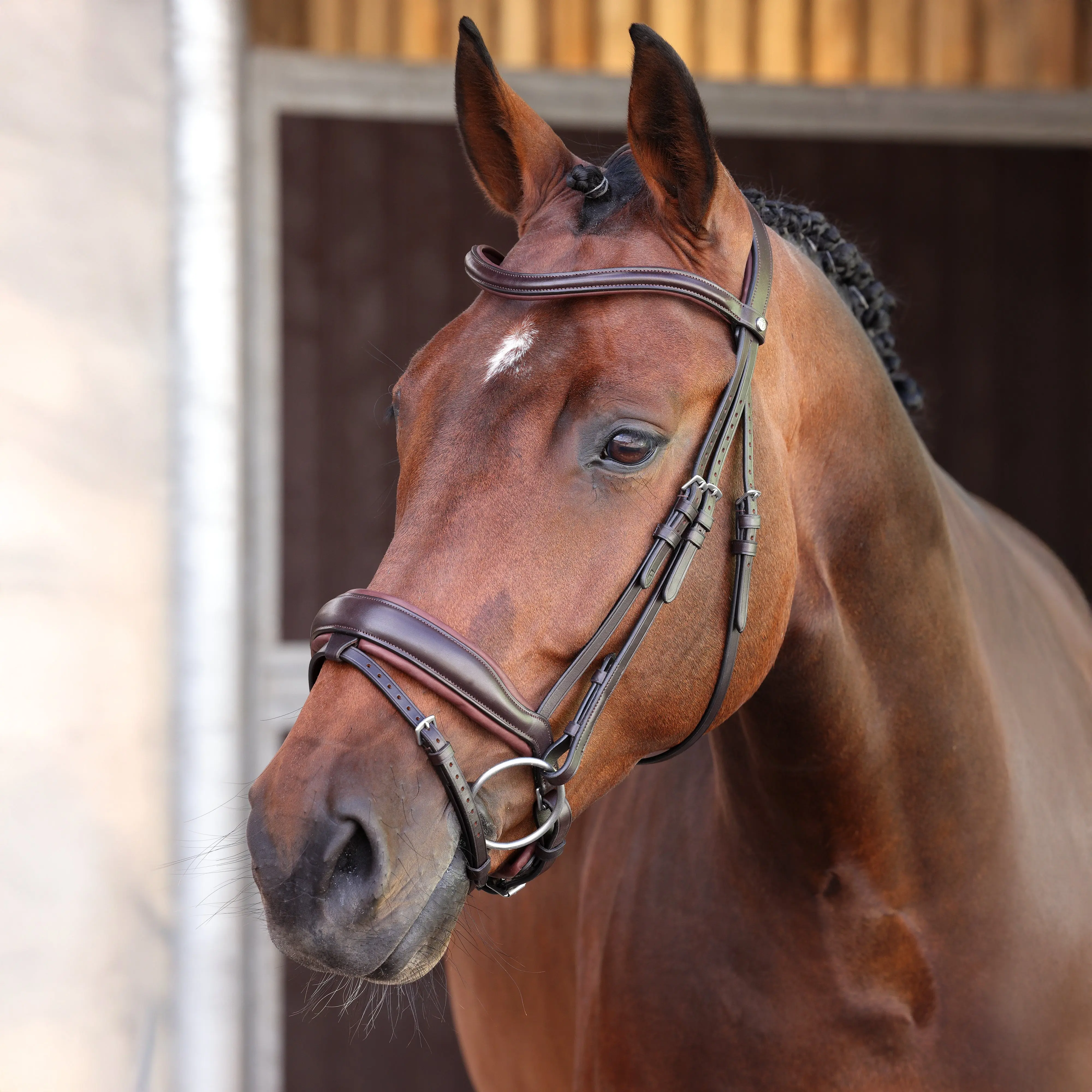 Shires Velociti LUSSO Elite Dressage Flash Bridle Havana - Image 2