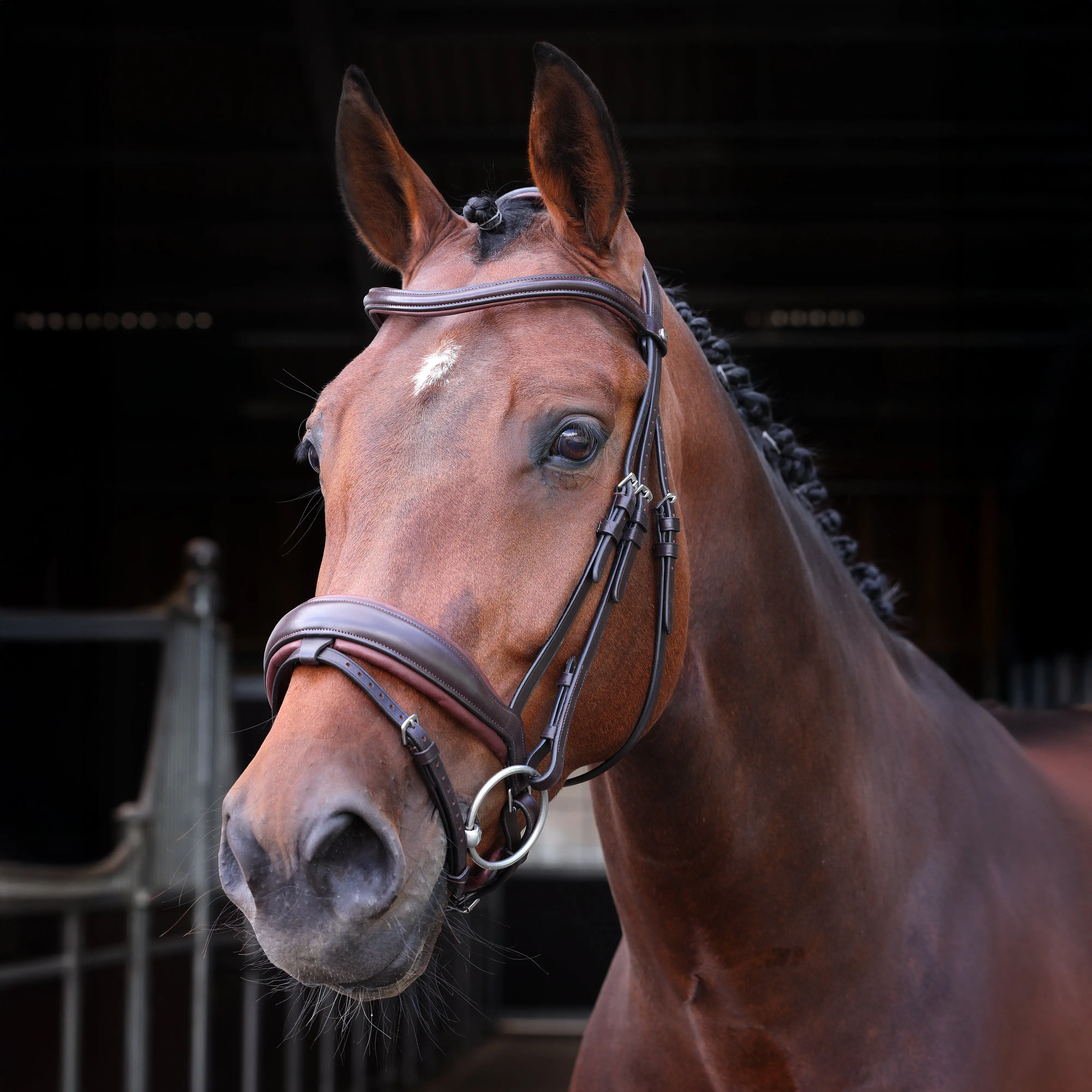 Shires Velociti LUSSO Elite Dressage Flash Bridle Havana - Image 4