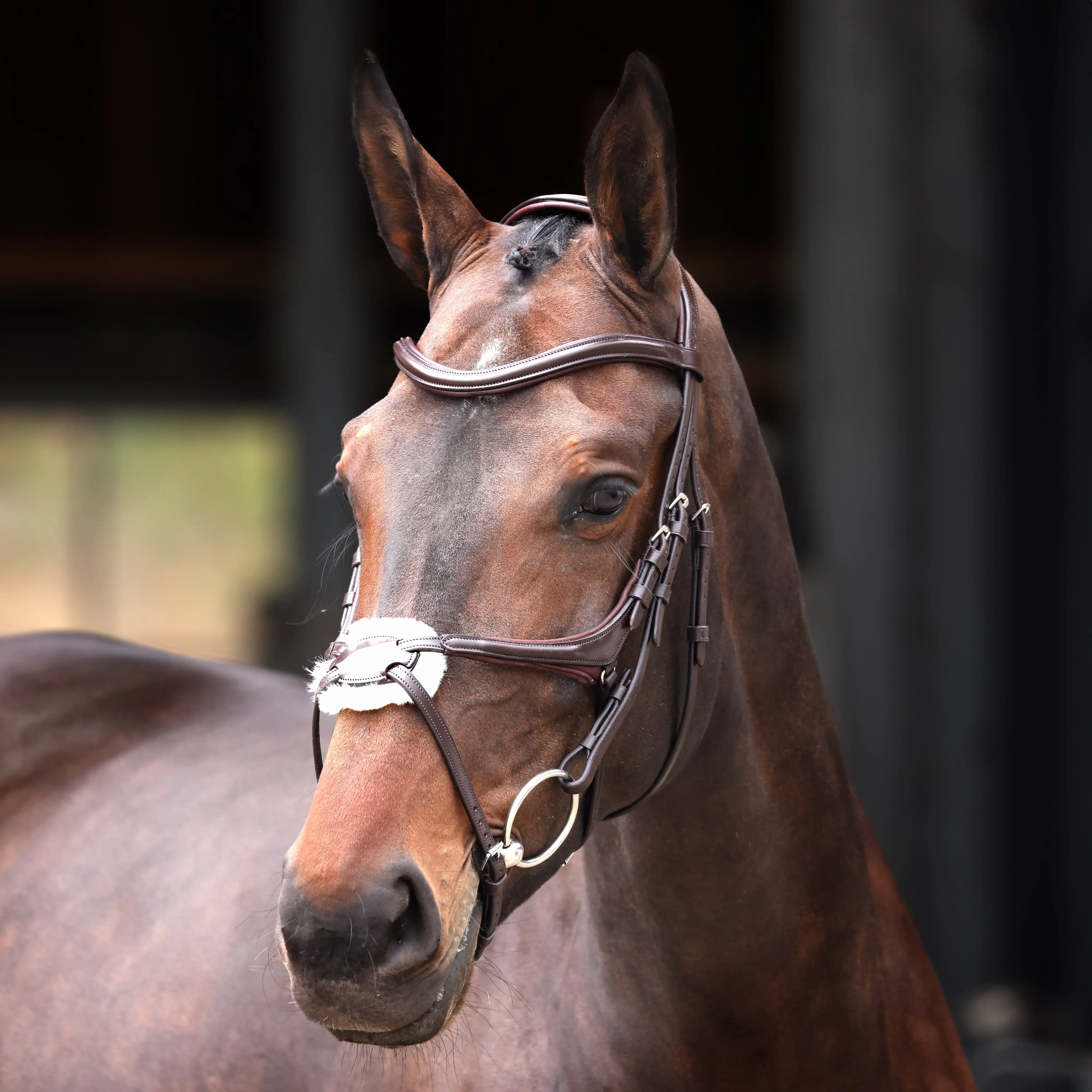 Shires Velociti Lusso Elite Havana Grackle Bridle