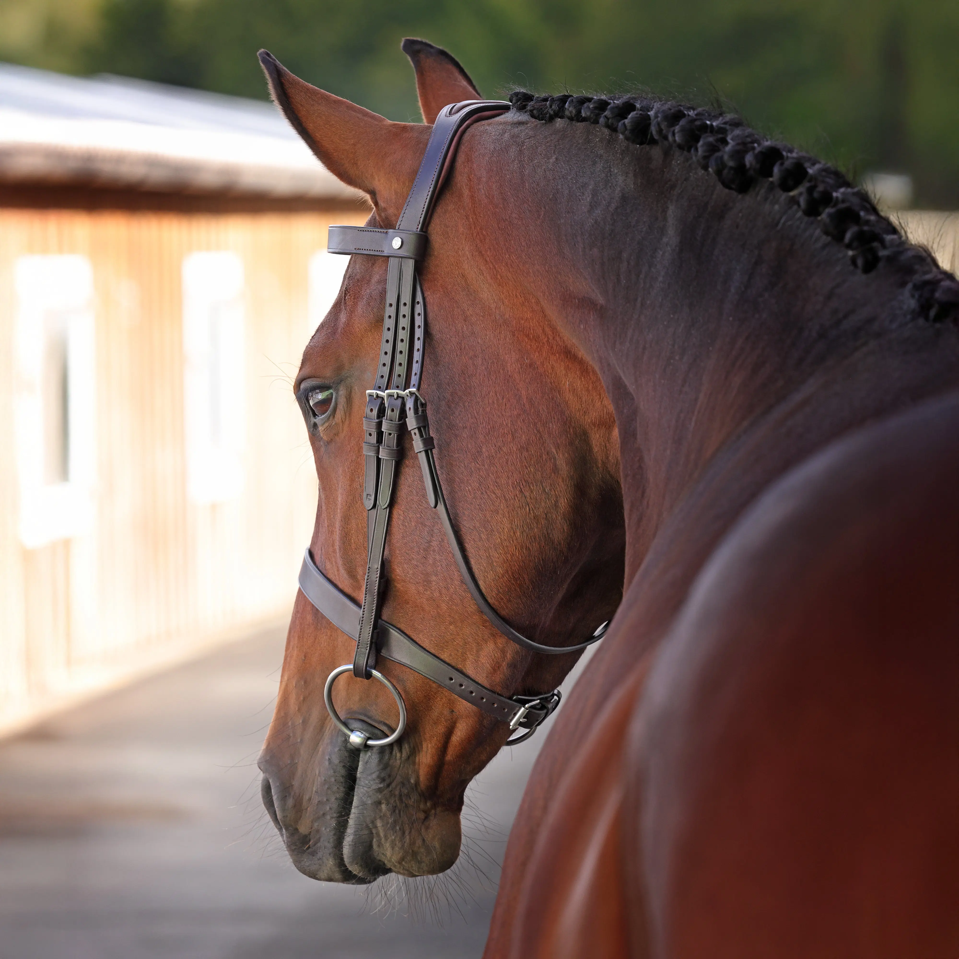 Shires Velociti LUSSO Elite Hunter Bridle Havana - Image 4