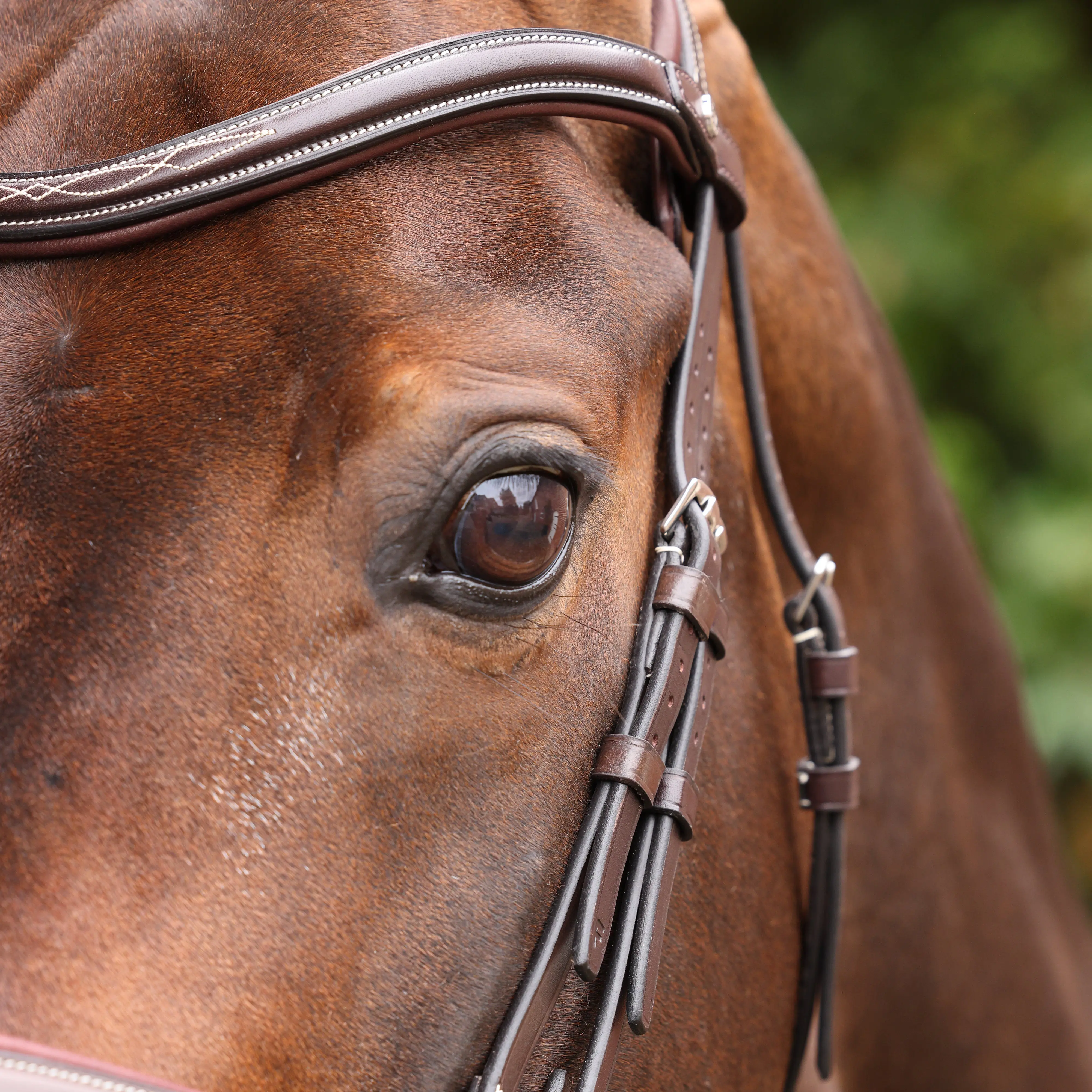 Shires Velociti LUSSO Opus 180M Dressage Cavesson Bridle Havana - Image 12