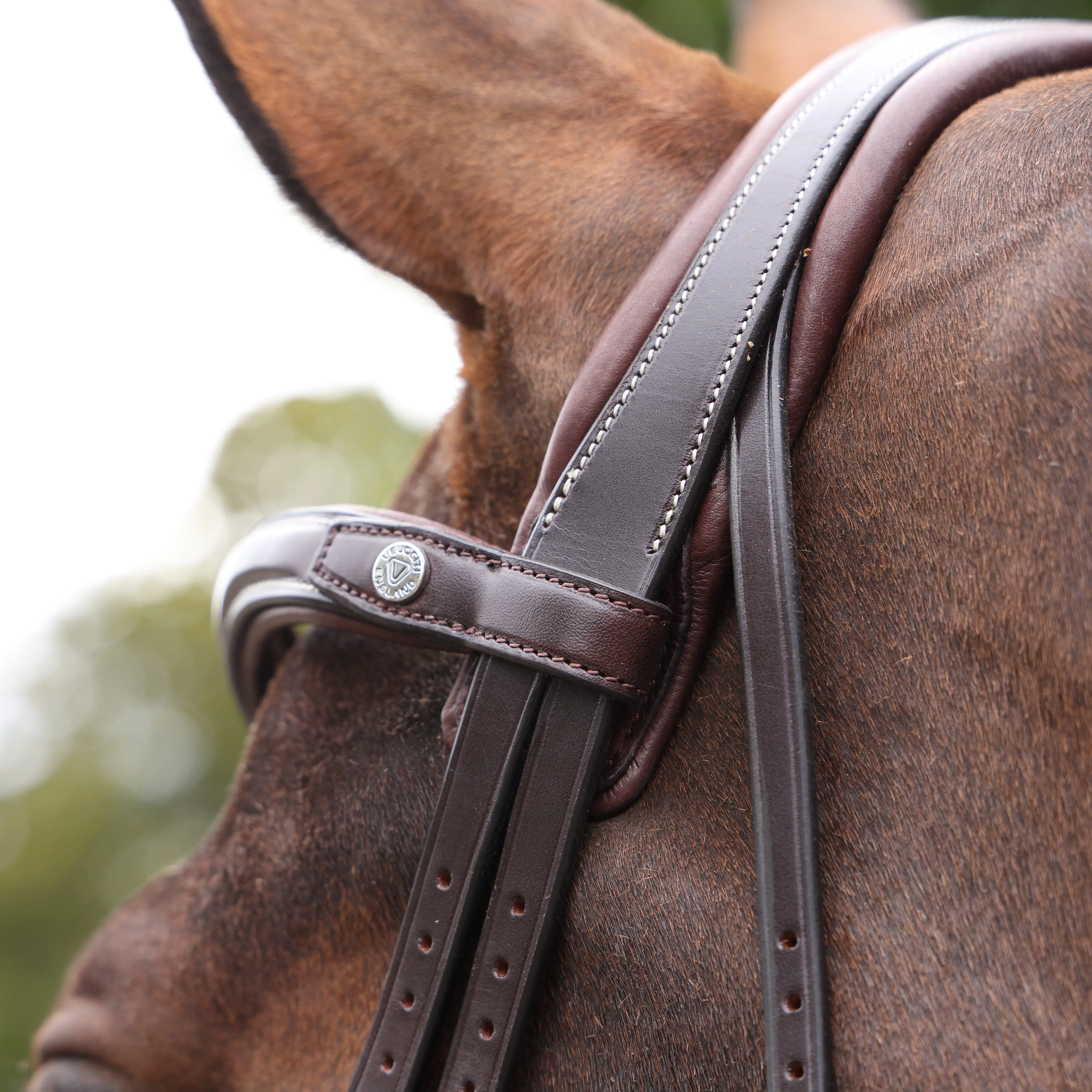 Shires Velociti LUSSO Opus 180M Dressage Cavesson Bridle Havana - Image 15