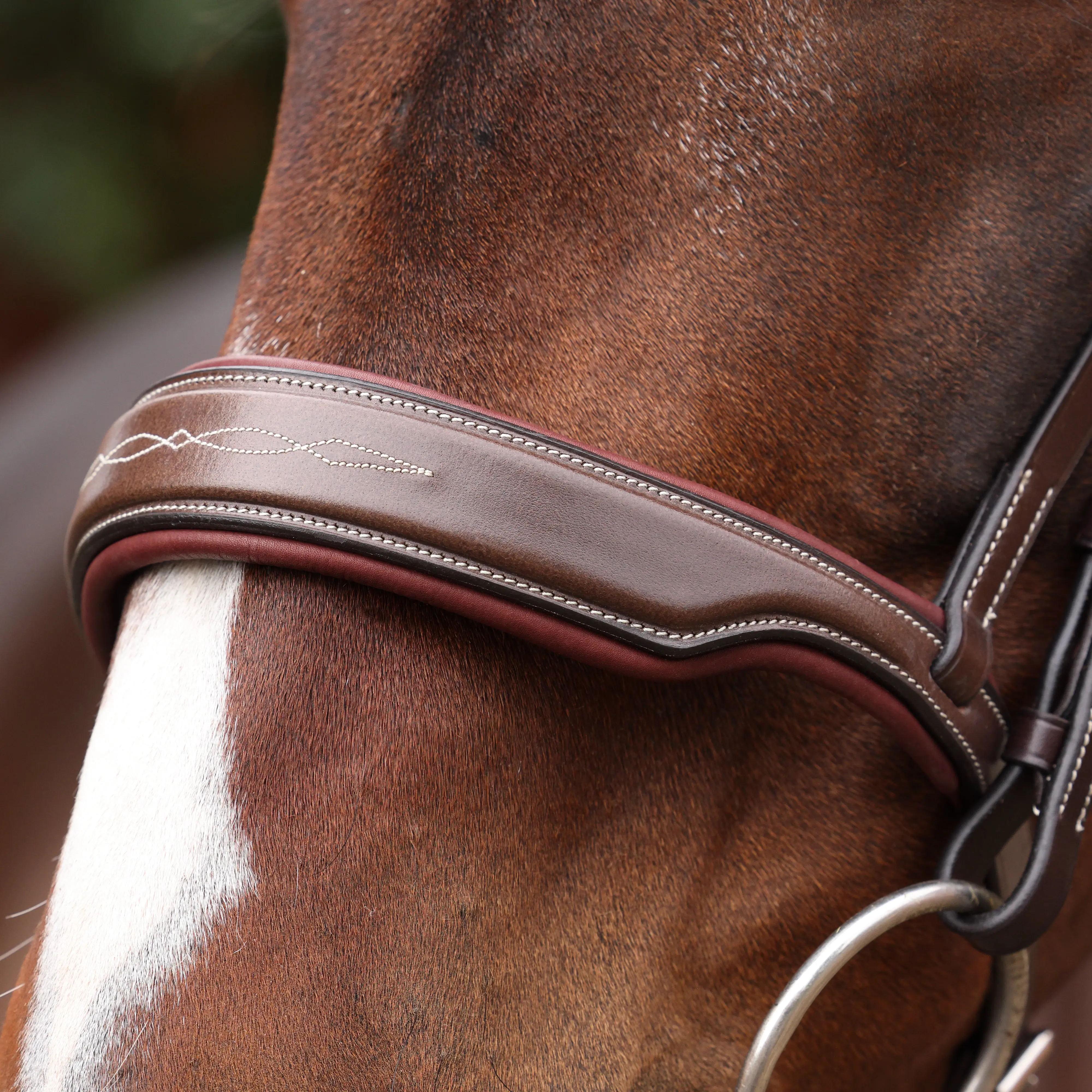 Shires Velociti LUSSO Opus 180M Dressage Cavesson Bridle Havana - Image 3