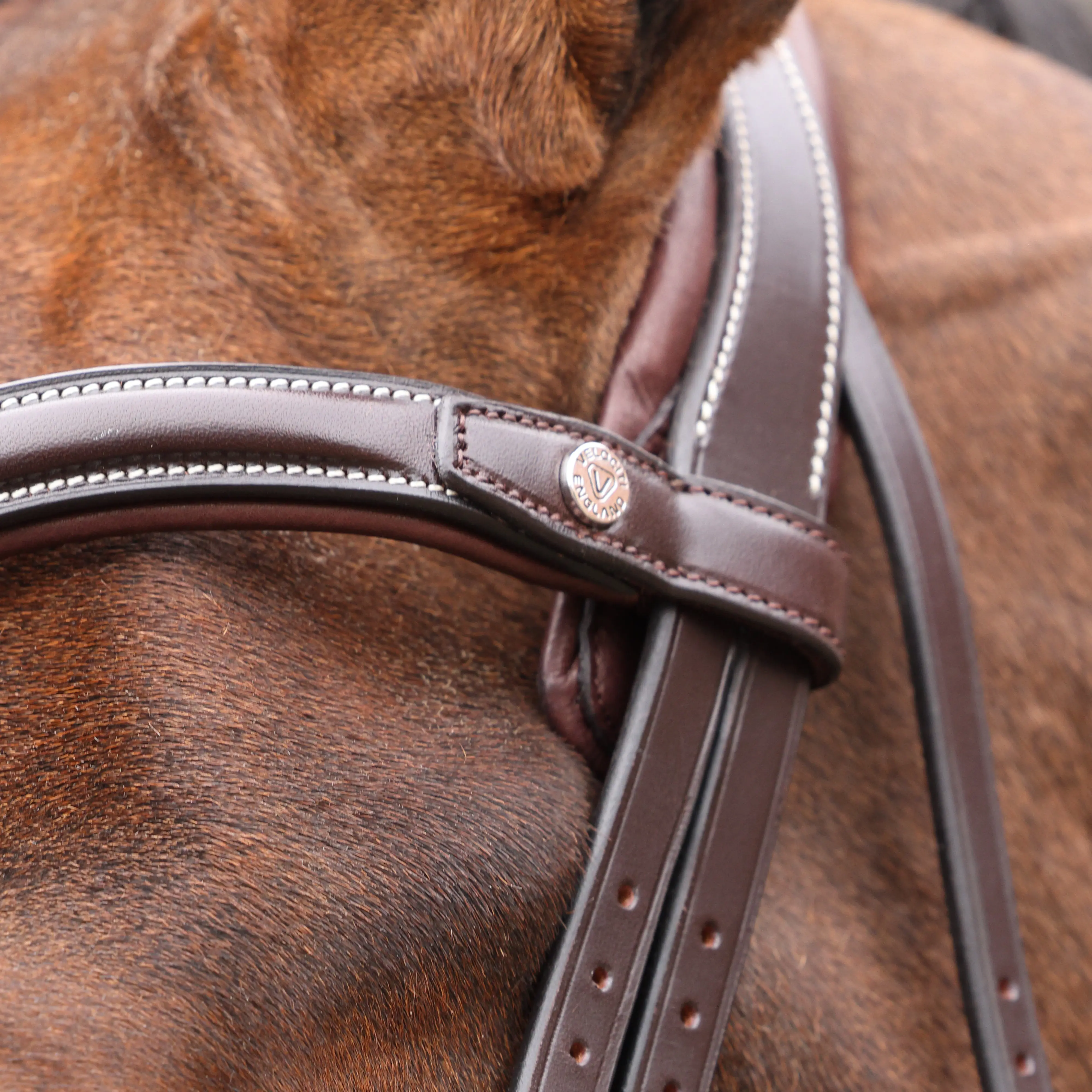 Shires Velociti LUSSO Opus 180M Dressage Cavesson Bridle Havana - Image 8