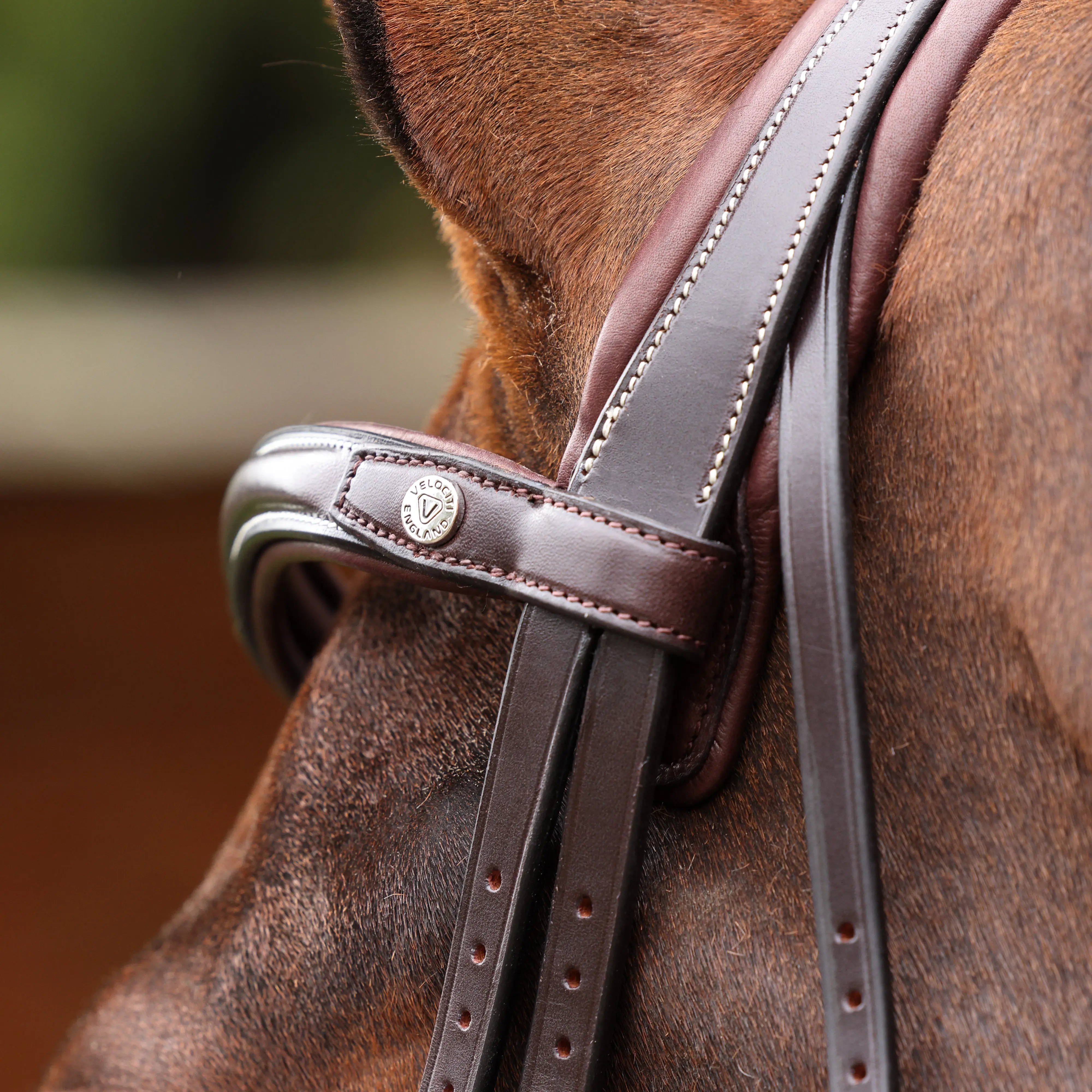 Shires Velociti LUSSO Opus 180M Dressage Flash Bridle Havana - Image 14