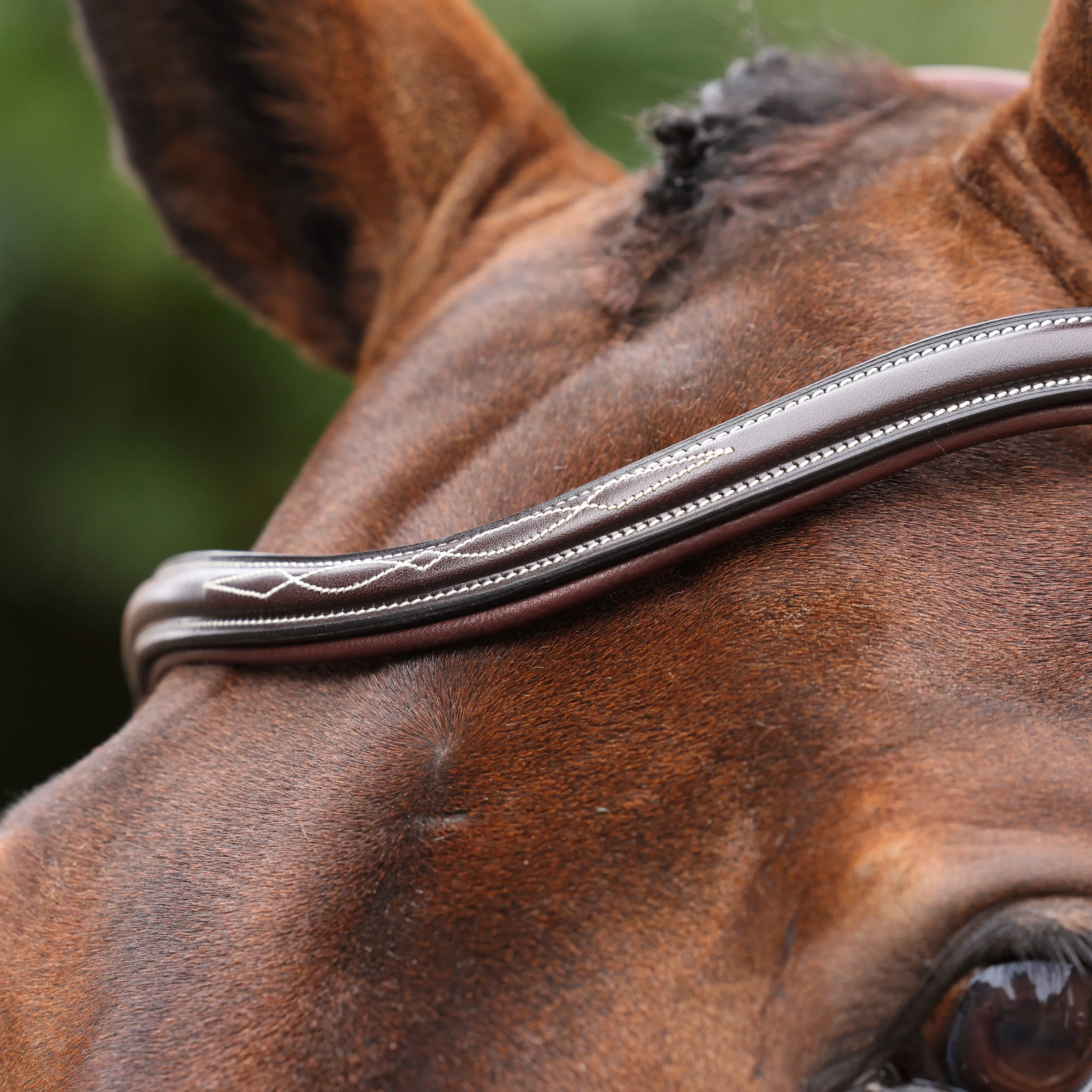 Shires Velociti LUSSO Opus 180M Dressage Flash Bridle Havana - Image 15