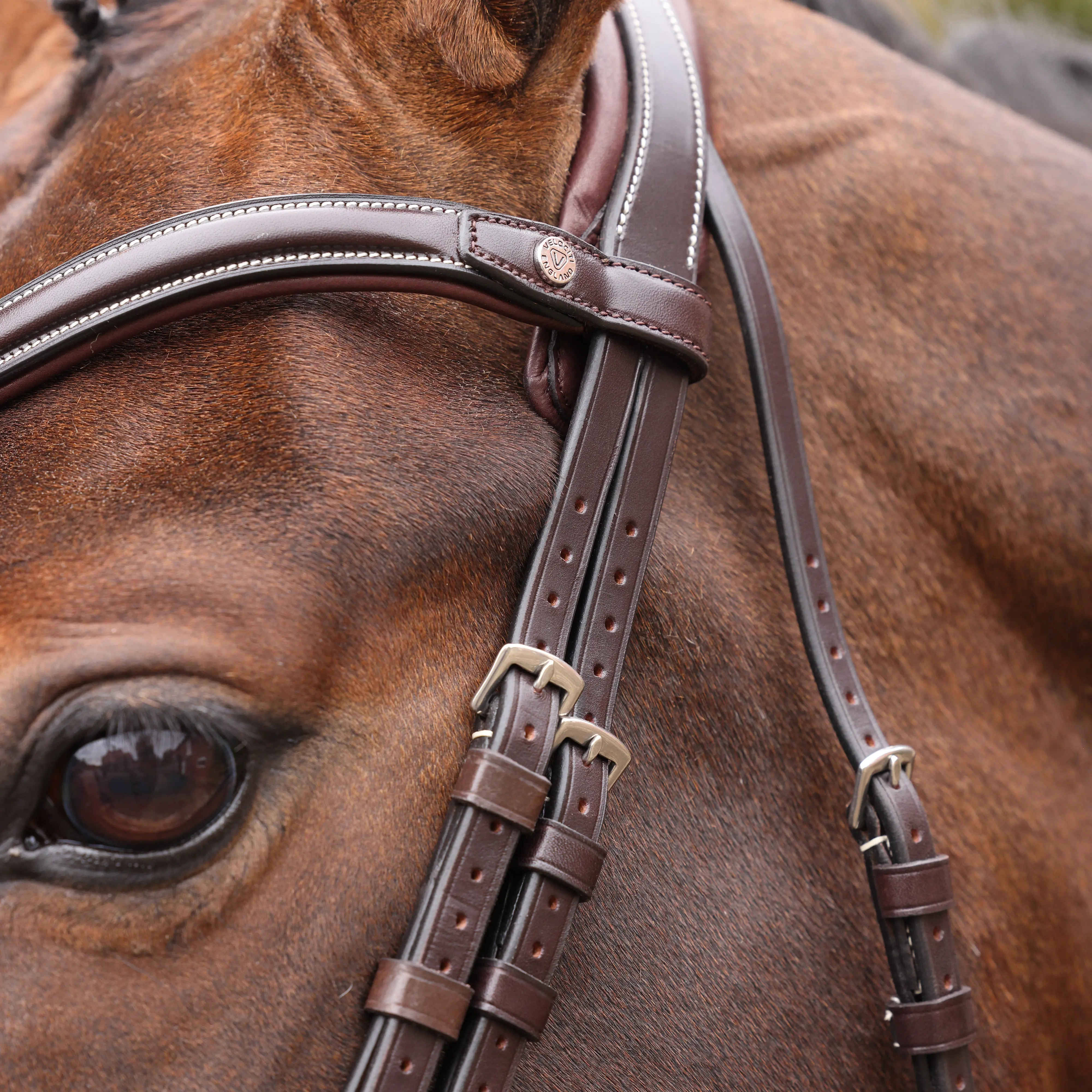 Shires Velociti LUSSO Opus 180M Ergonomic Flash Bridle Havana - Image 11