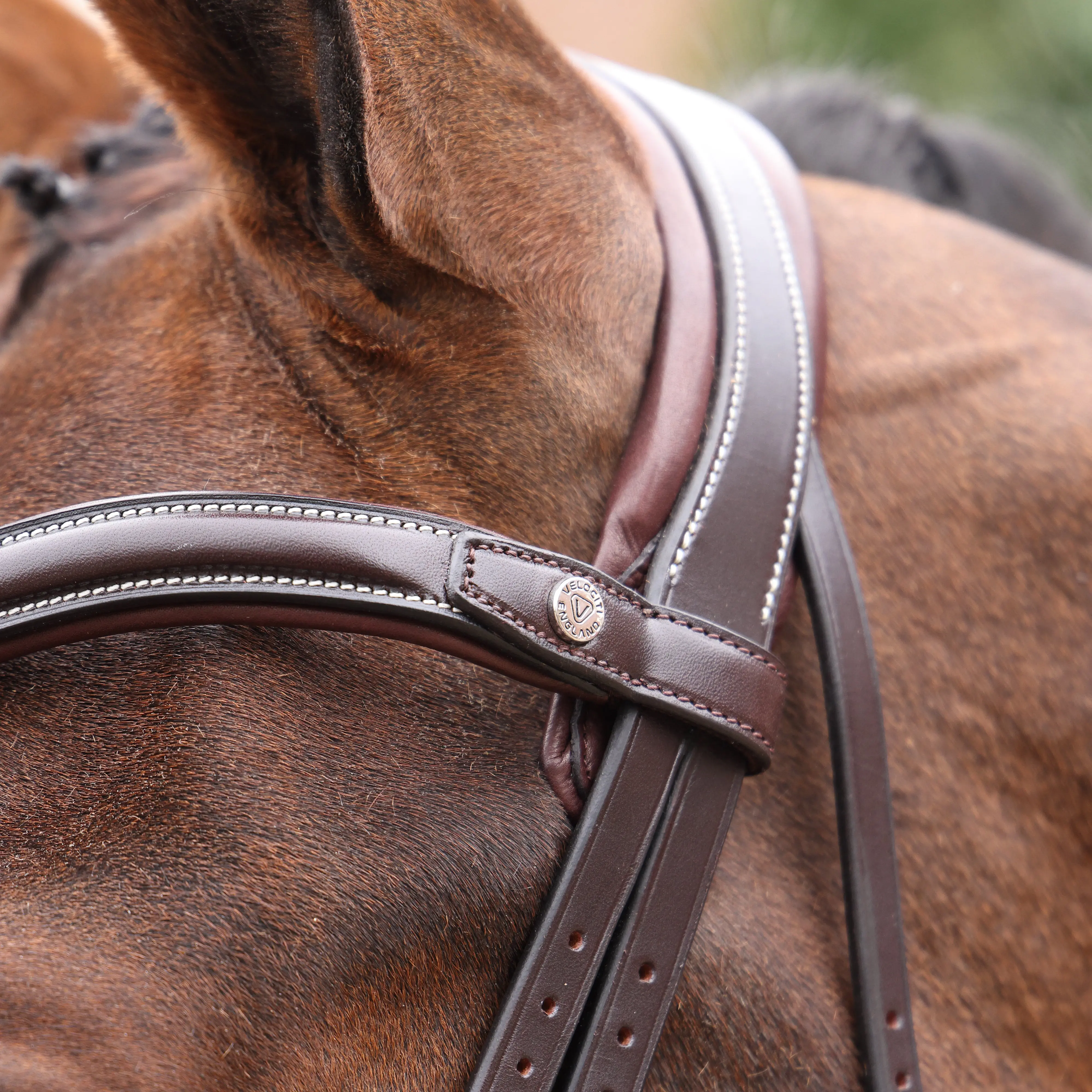 Shires Velociti LUSSO Opus 180M Ergonomic Flash Bridle Havana - Image 16