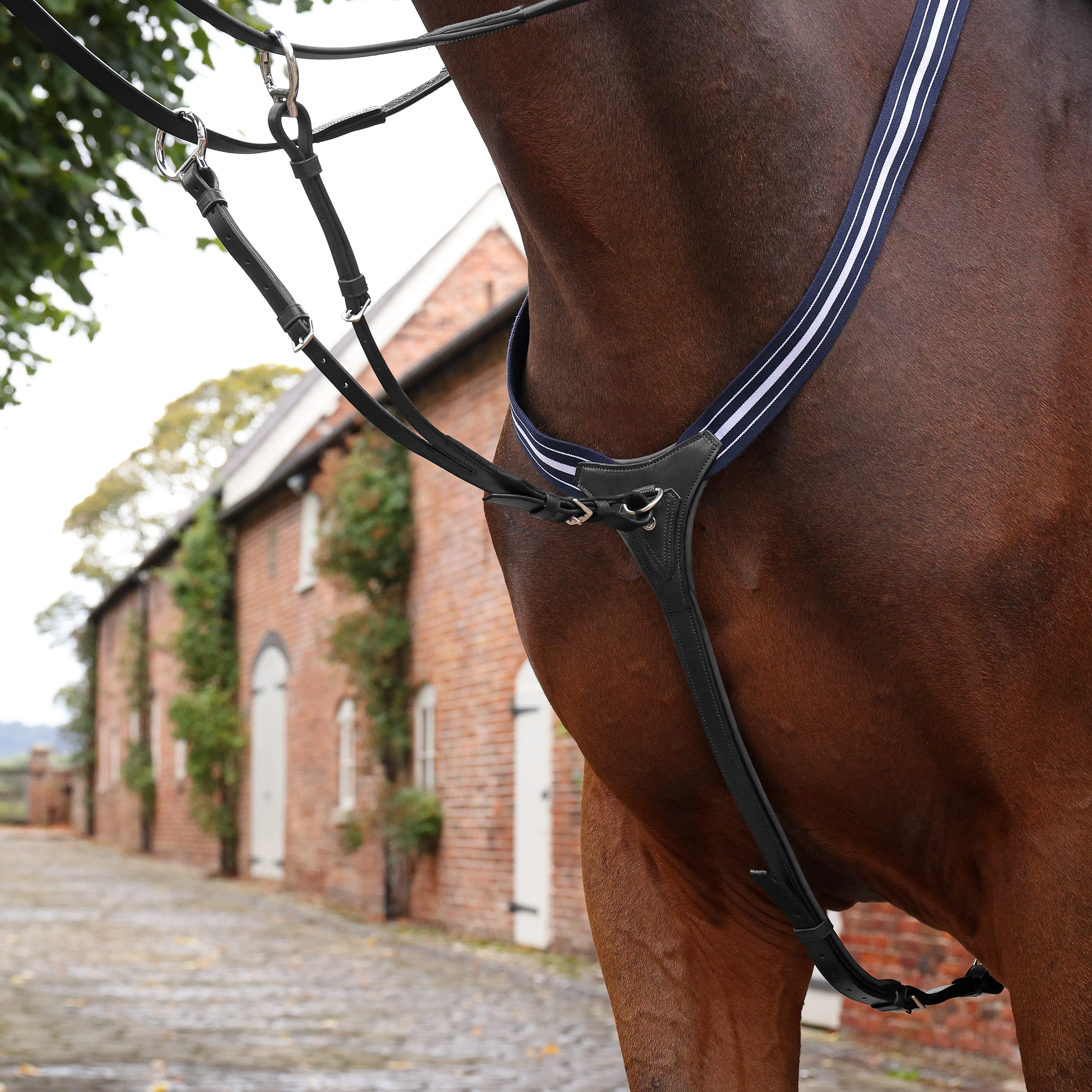 Shires Velociti LUSSO Opus Elastic Breastplate Black - Image 6