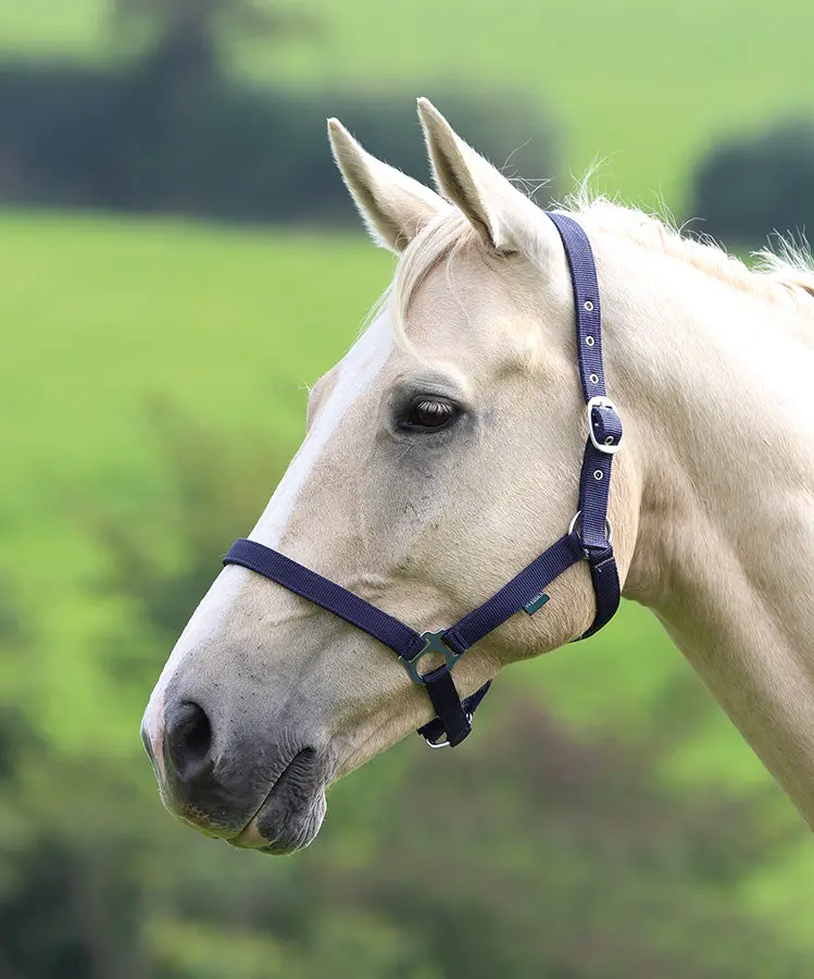 Shires Wessex Nylon Headcollars - Image 33